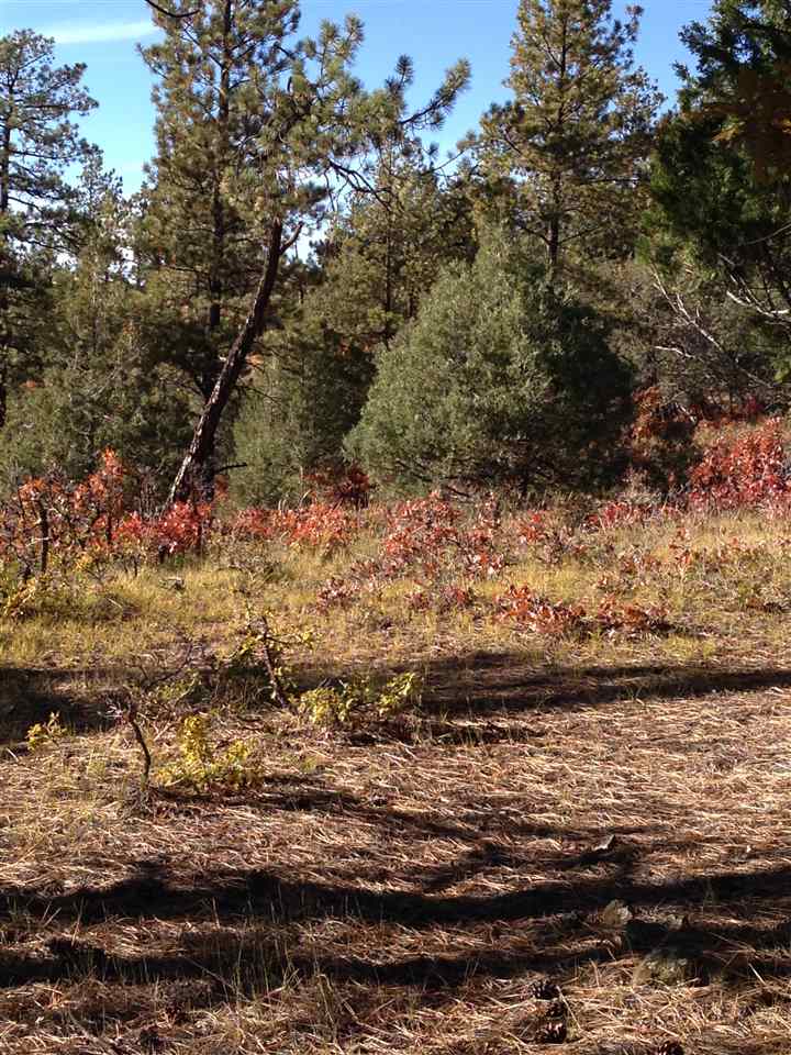 Unit 4 TR 12, Ponderosa S/D