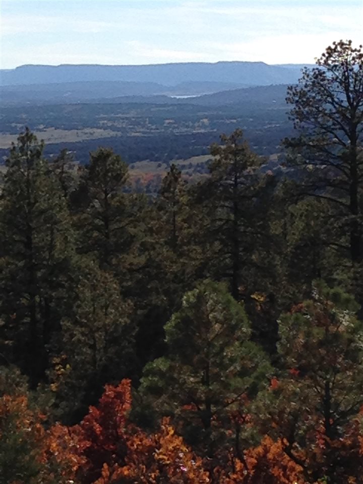 Unit 4 TR 12, Ponderosa S/D
