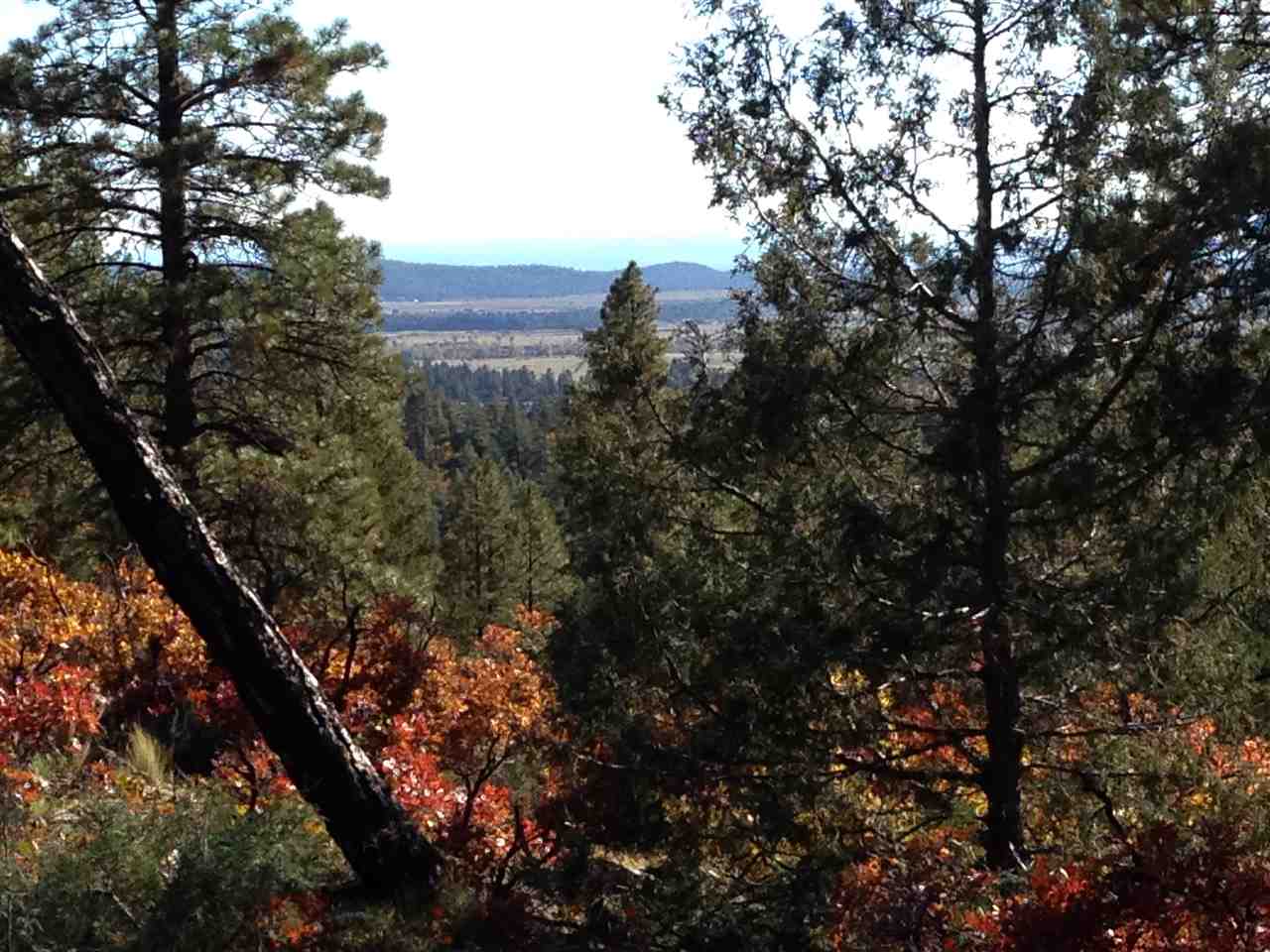 Unit 4 TR 12, Ponderosa S/D