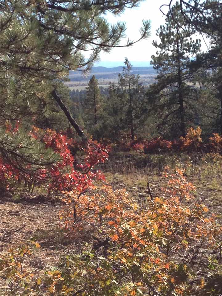 Unit 4 TR 12, Ponderosa S/D