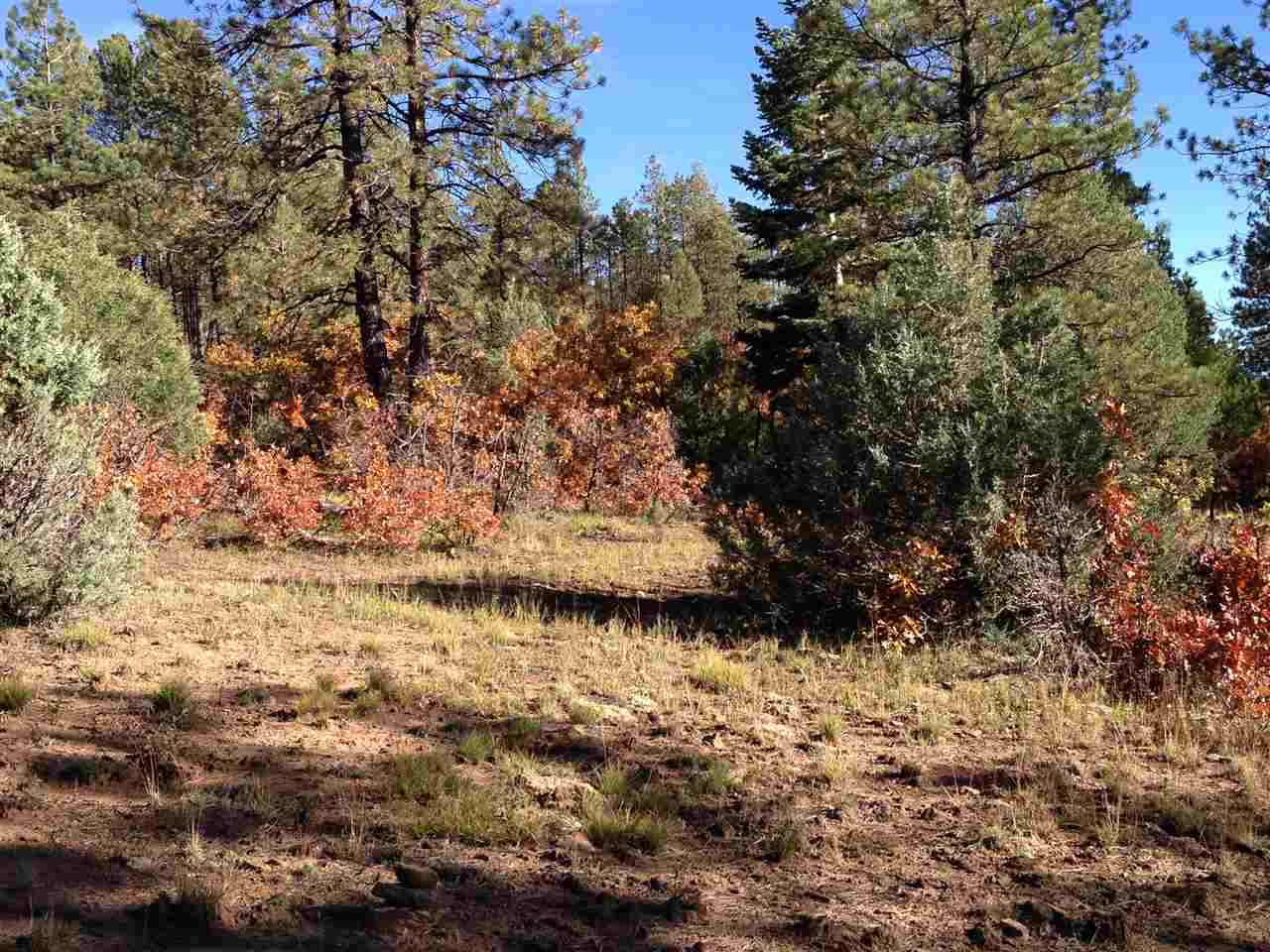 Unit 4 TR 12, Ponderosa S/D