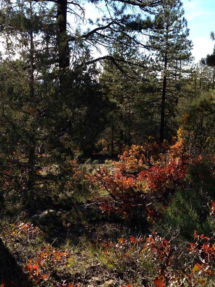 Unit 4 TR 12, Ponderosa S/D