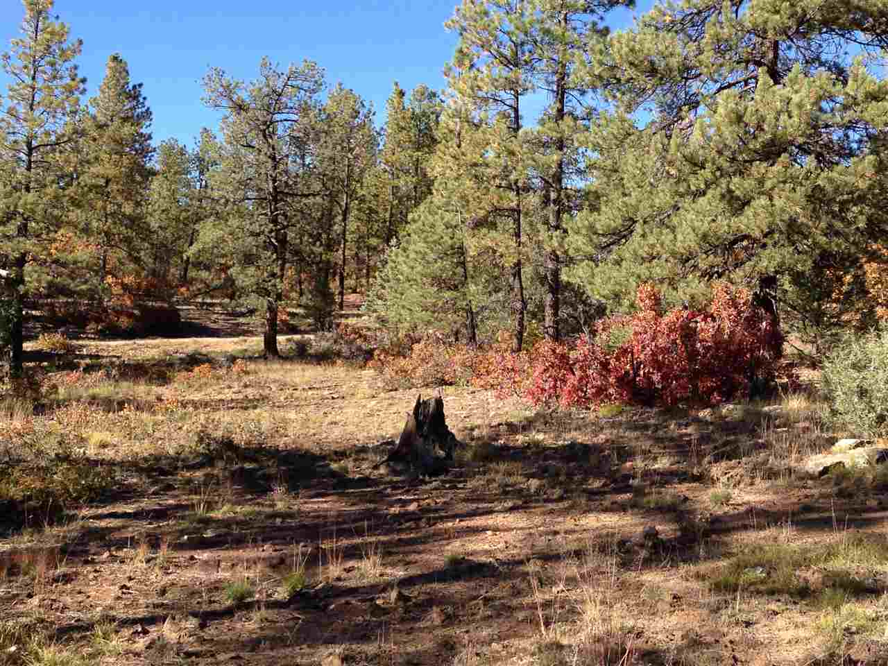 Unit 4 TR 12, Ponderosa S/D
