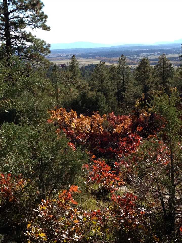 Unit 4 TR 12, Ponderosa S/D