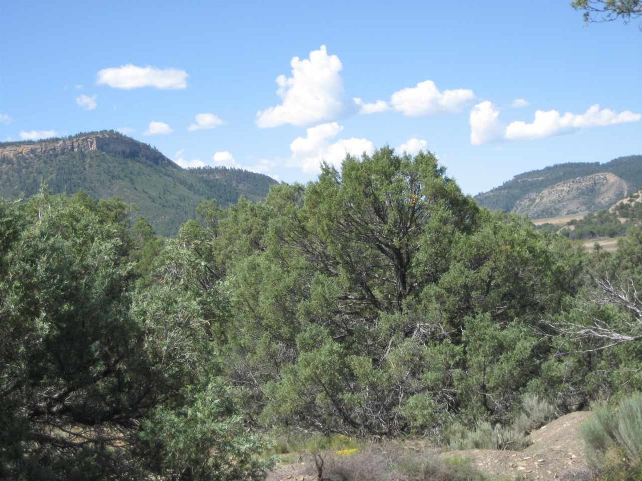 0 Juniper Road, Pinon E