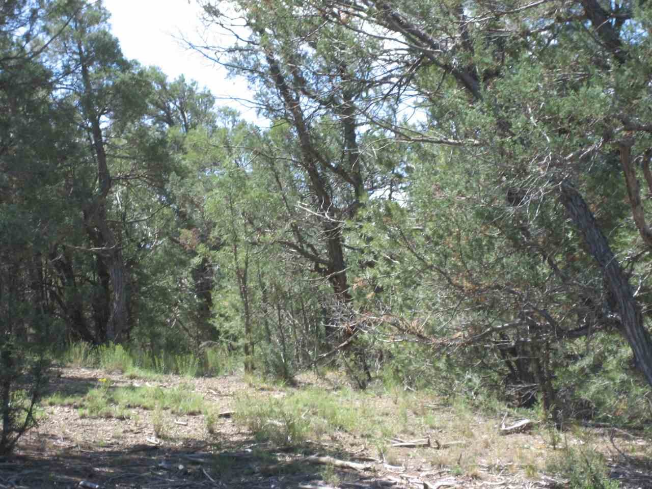 0 Juniper Road, Pinon E