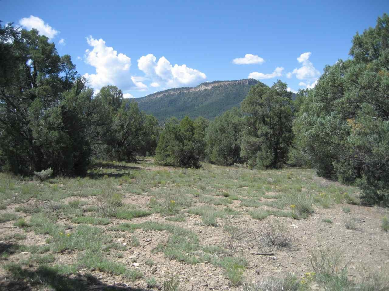 0 Juniper Road, Pinon E