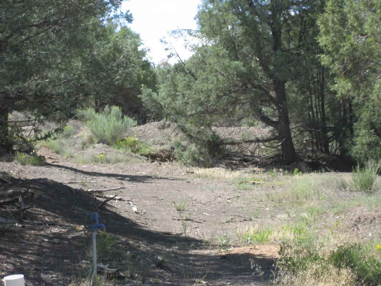 0 Juniper Road, Pinon E