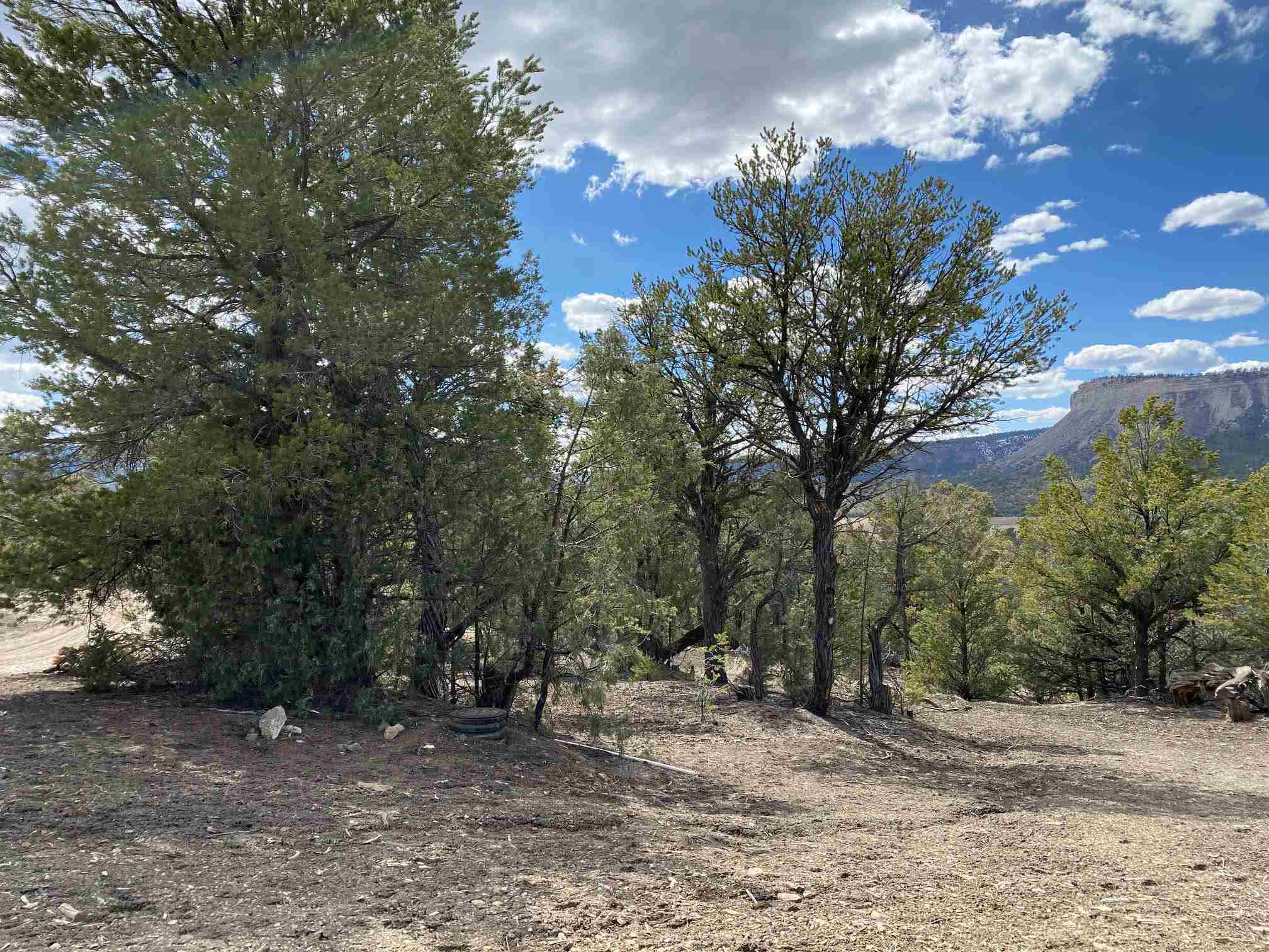 0 Block 8, Lot 20, Pinon NE