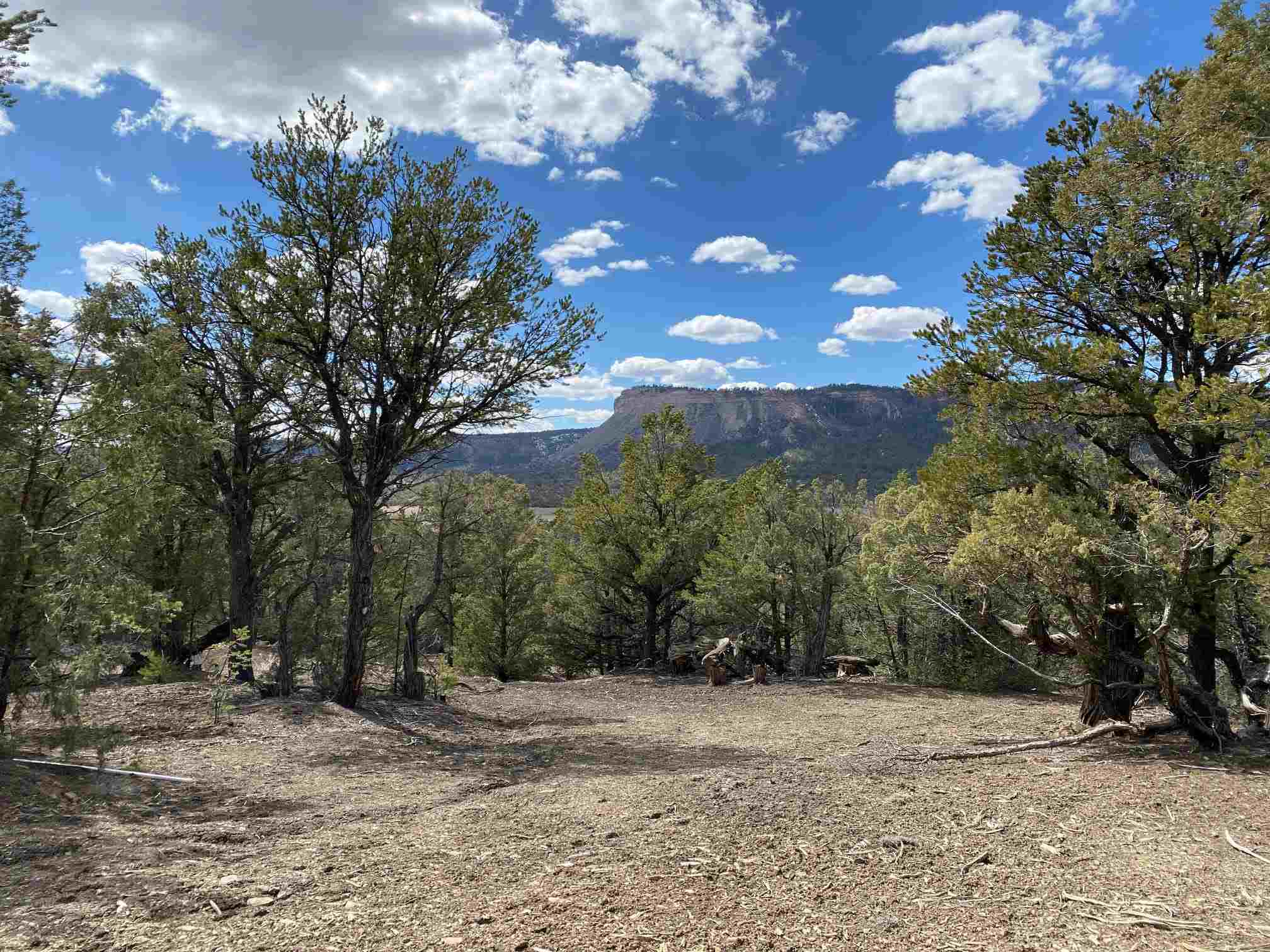 0 Block 8, Lot 20, Pinon NE