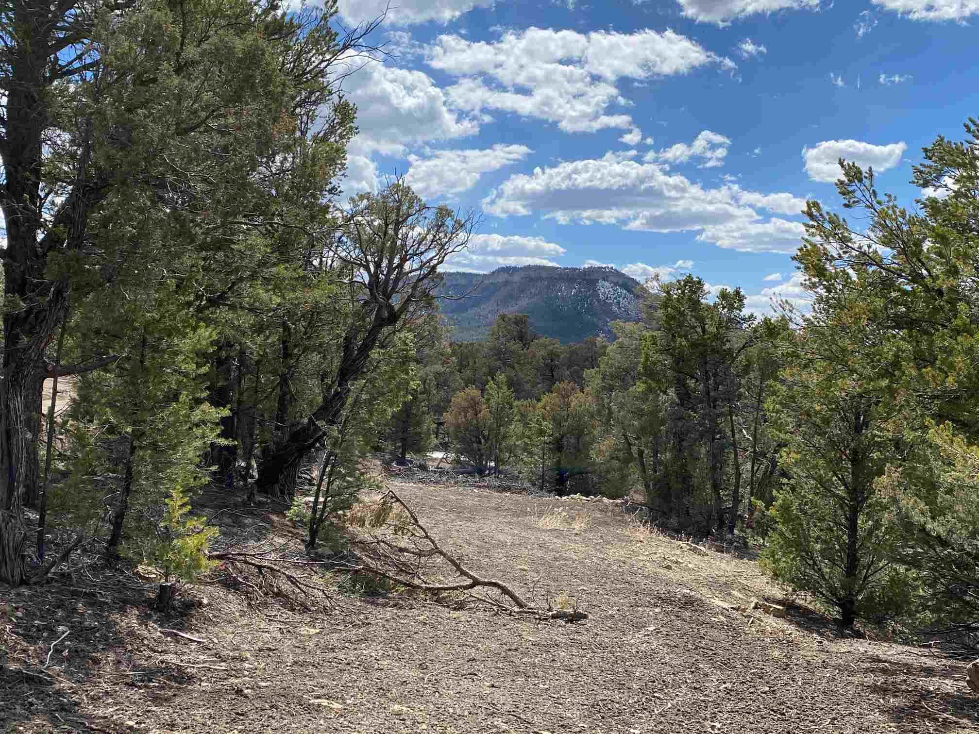 0 Block 8, Lot 20, Pinon NE