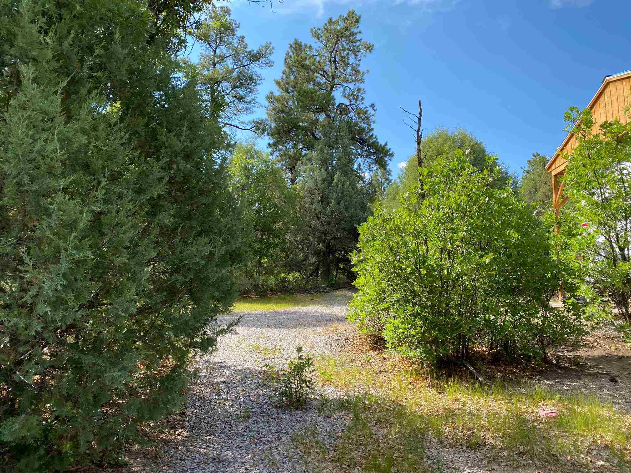 0 Unit 4, Tr-26, Ponderosa