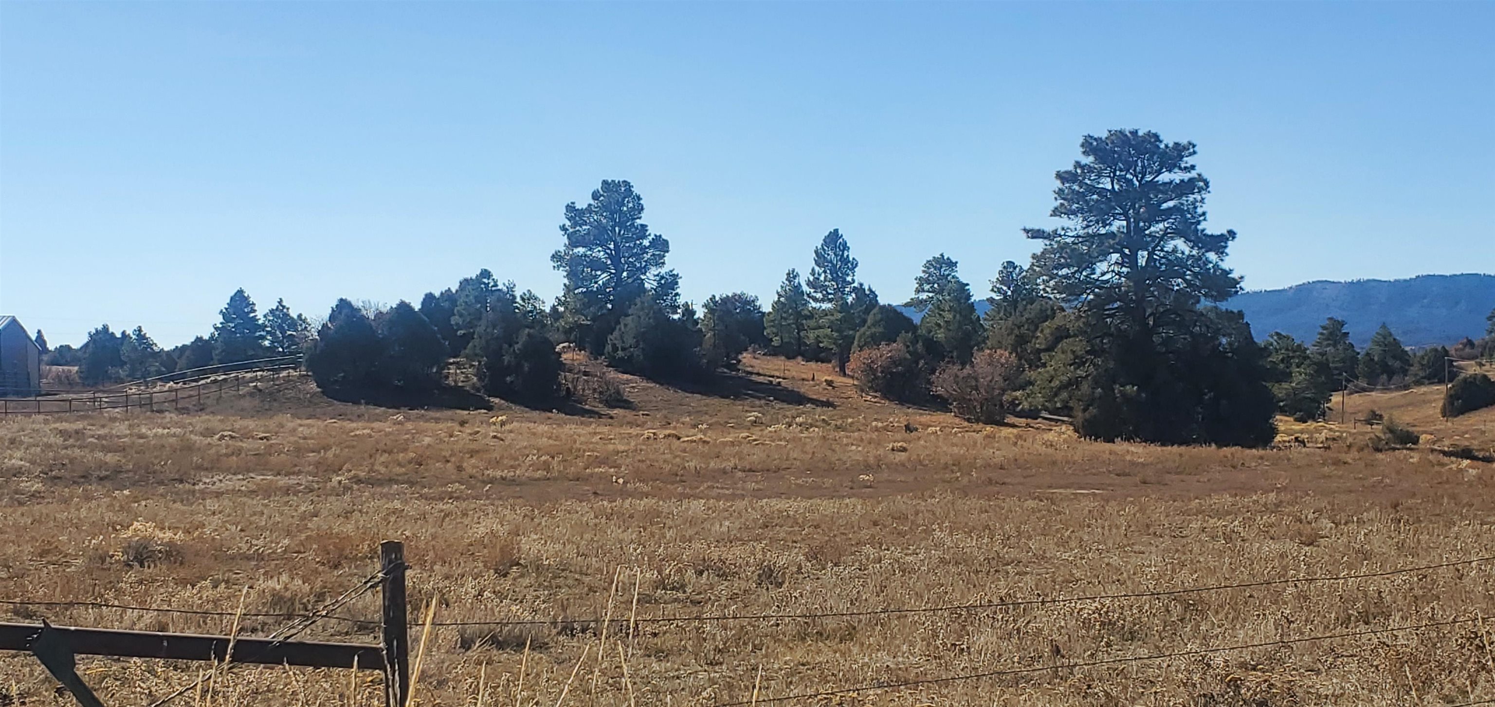 30 Elk