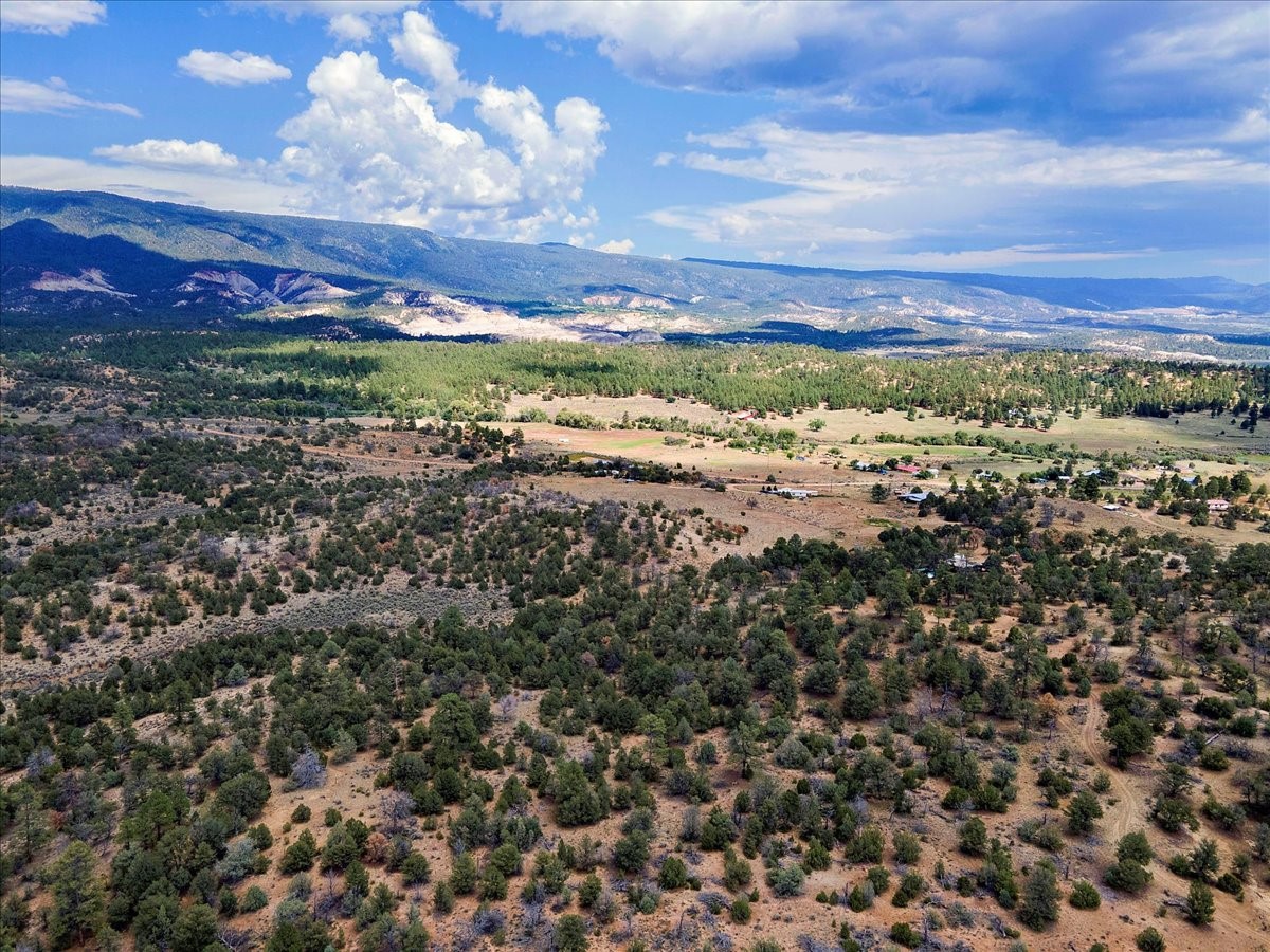 110 Rito De Los Pinos