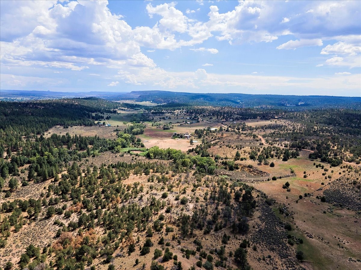 110 Rito De Los Pinos