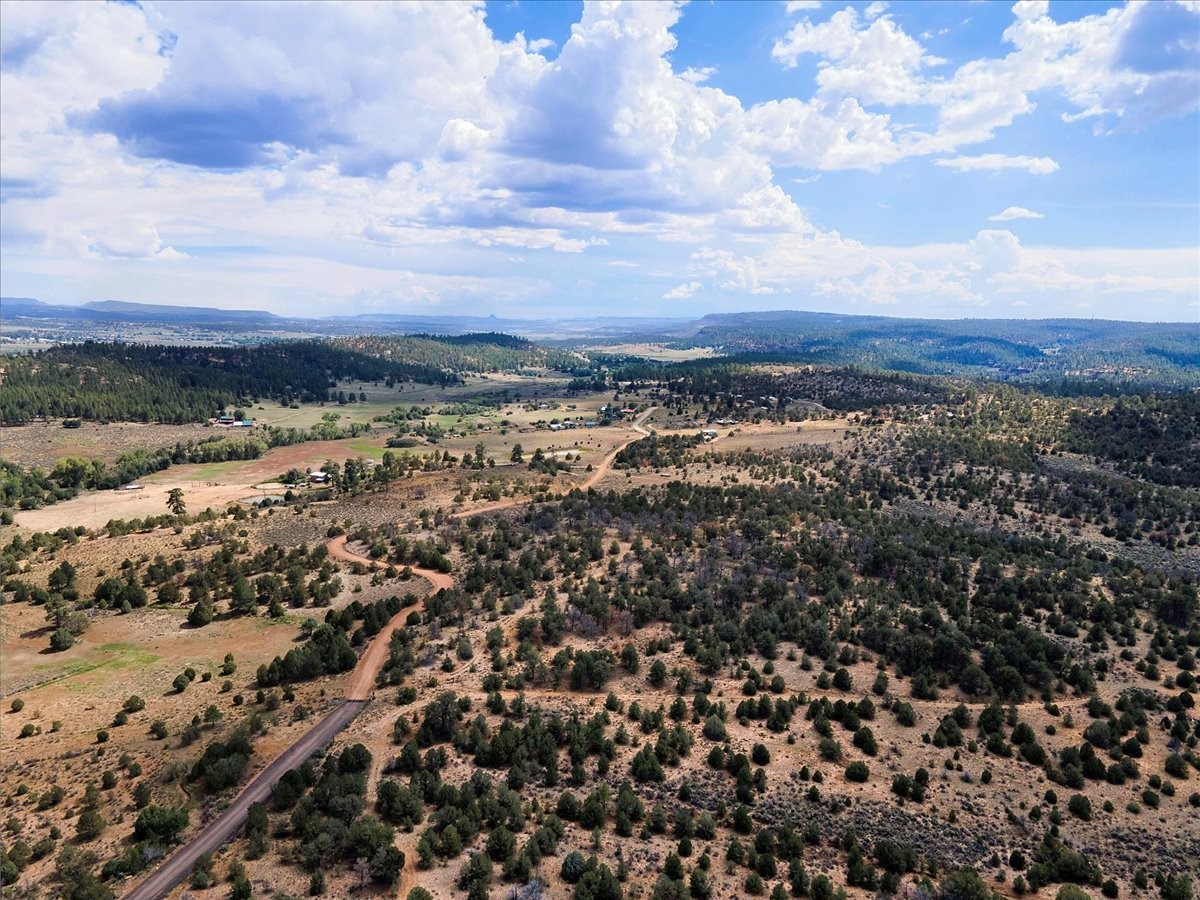110 Rito De Los Pinos
