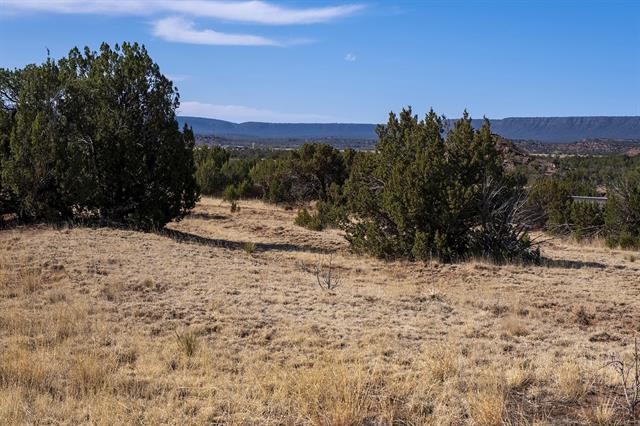 119 Camino Soledad