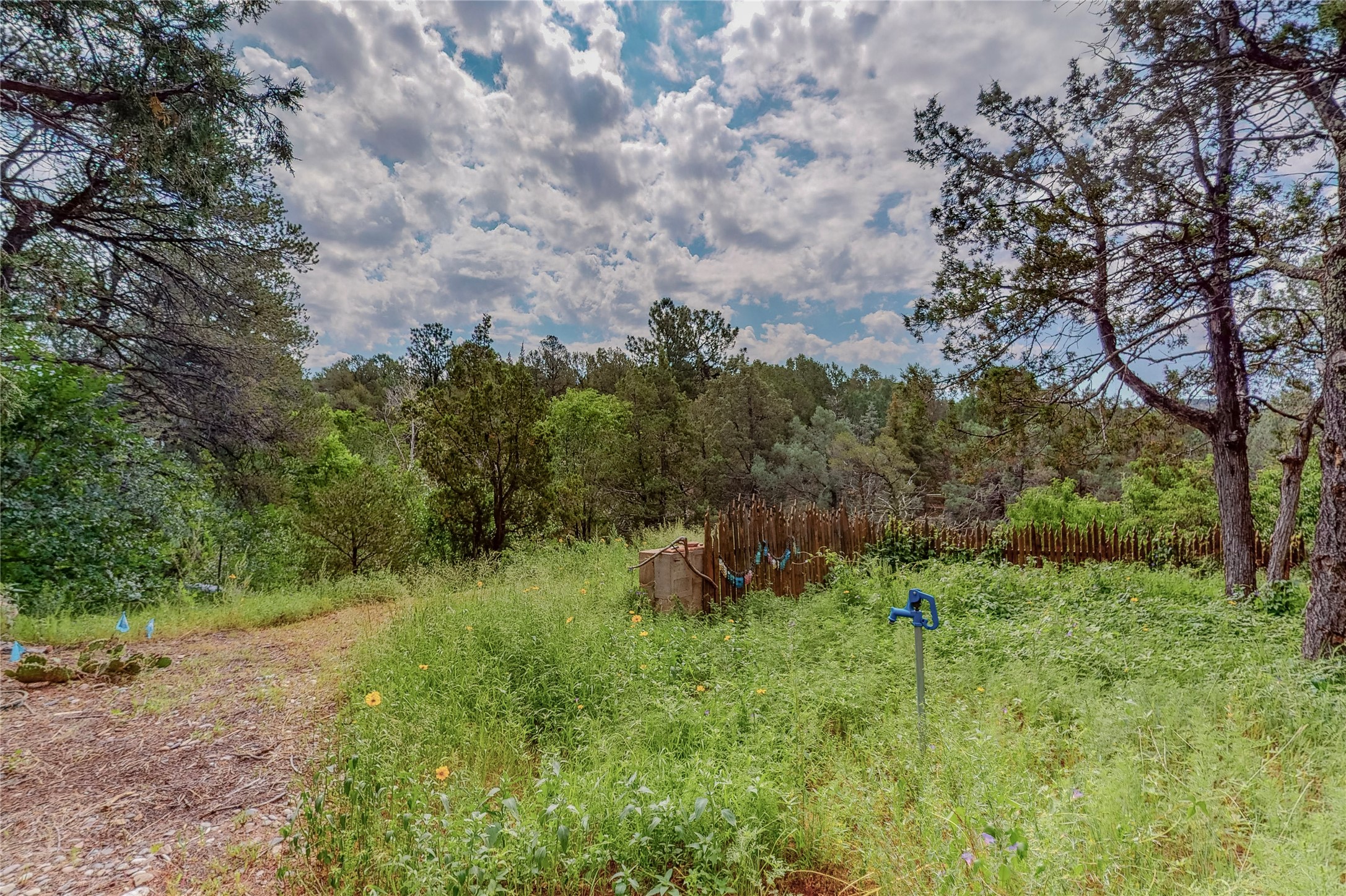 5 County Road B51 A