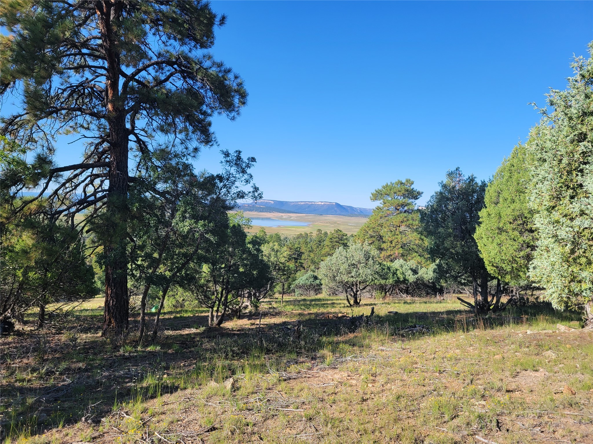 15 Vista Isla