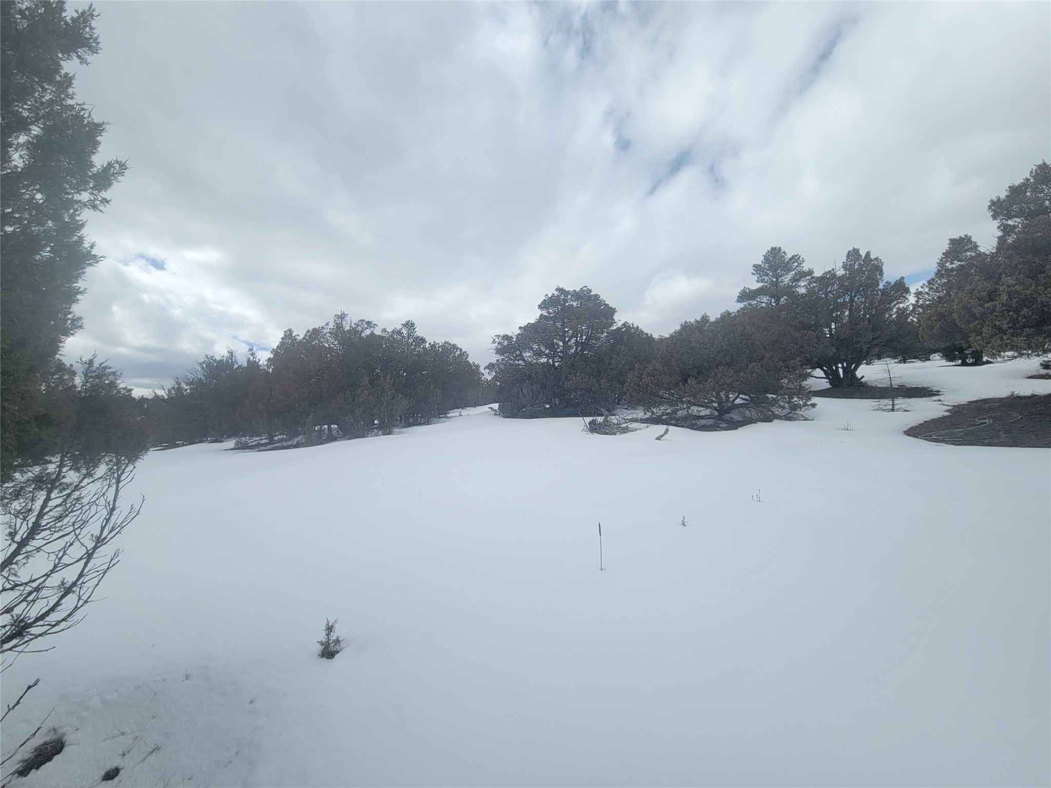 T Fort Heron Preserve