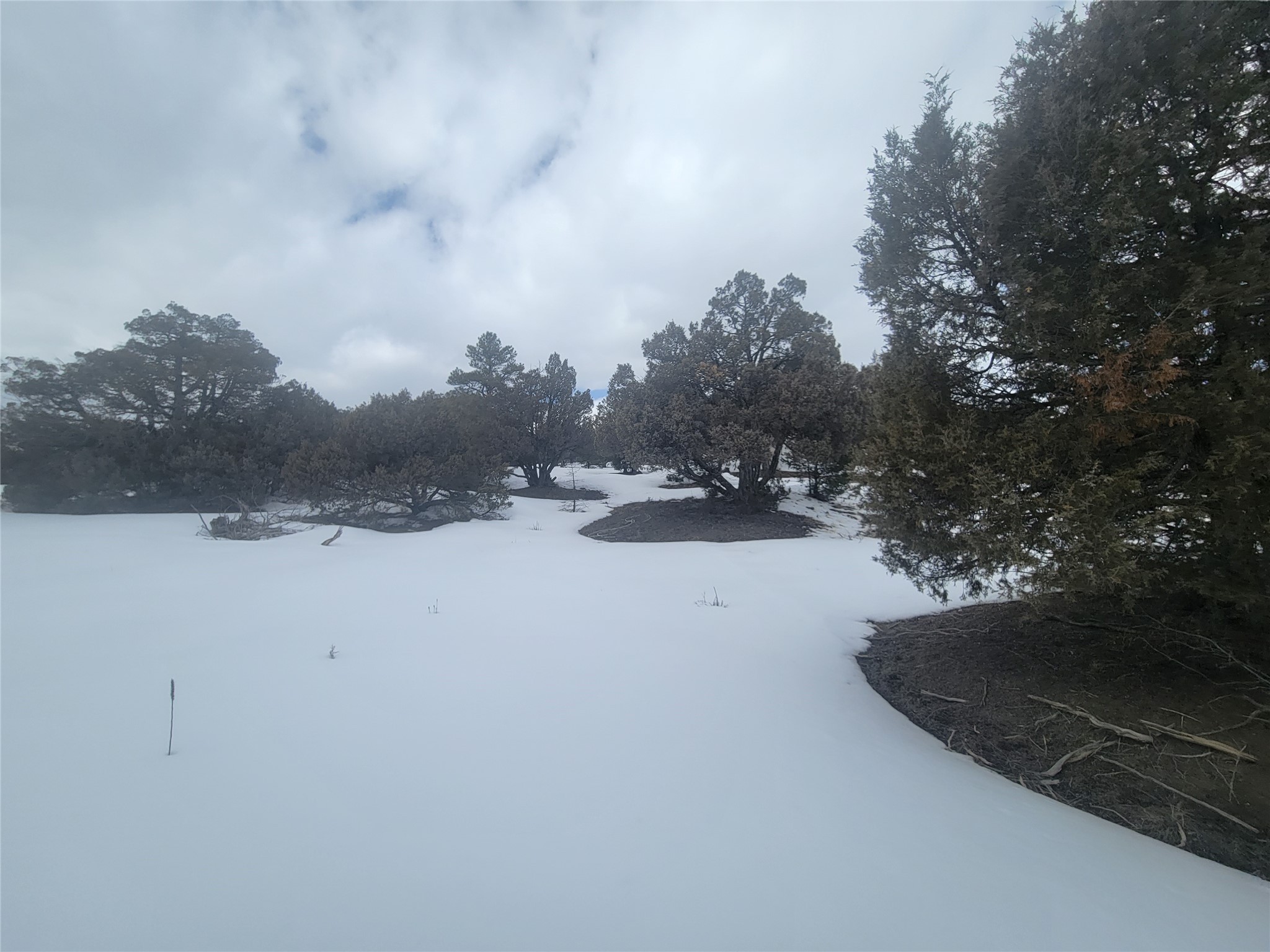 T Fort Heron Preserve