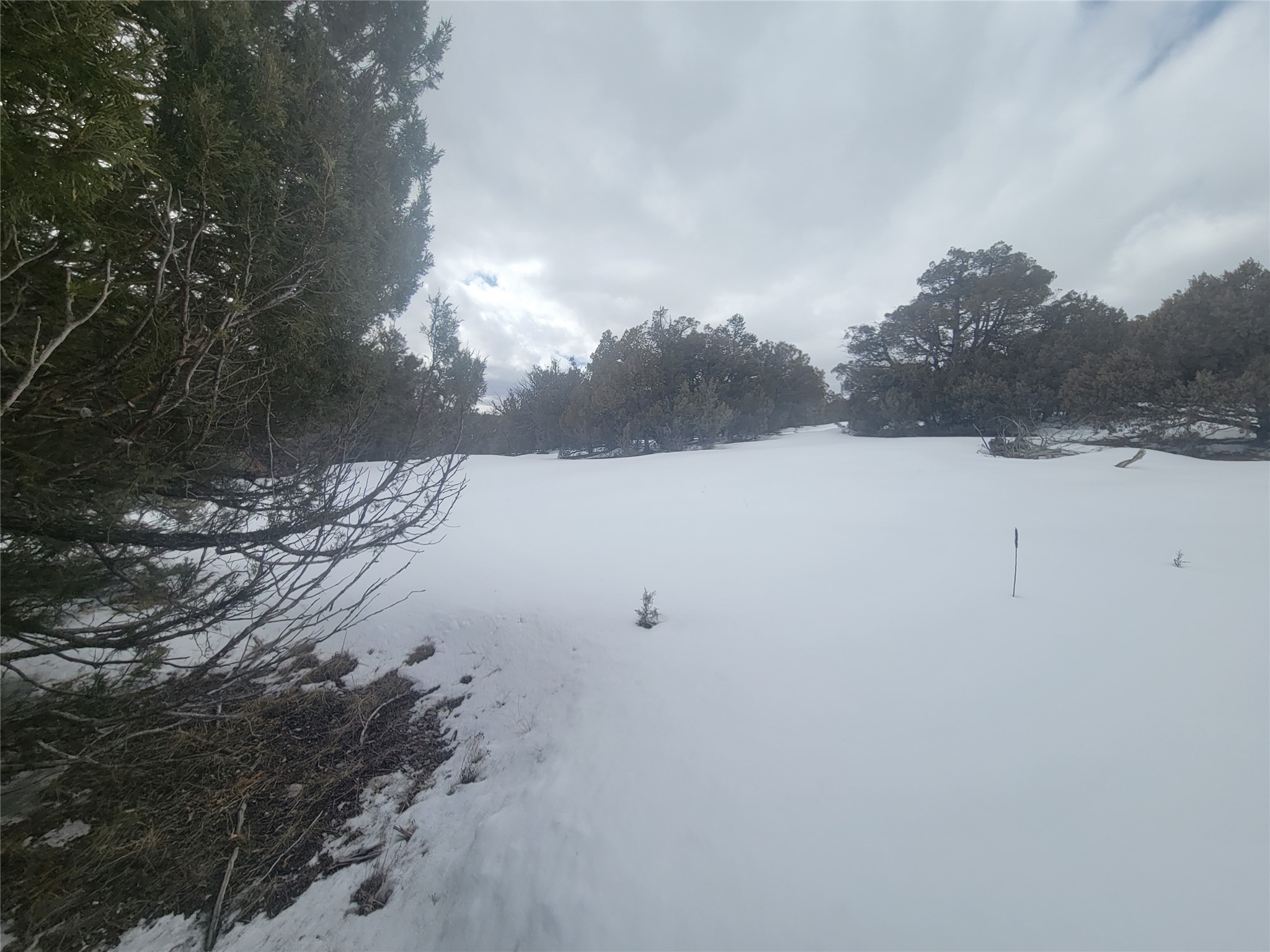 T Fort Heron Preserve