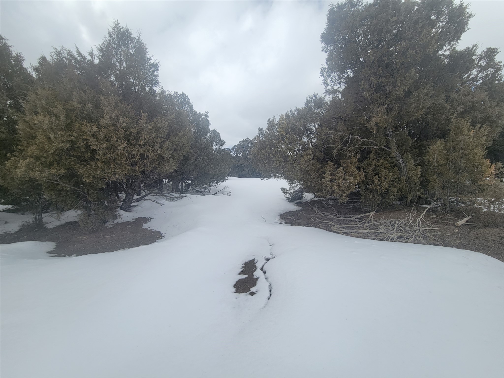 T Fort Heron Preserve