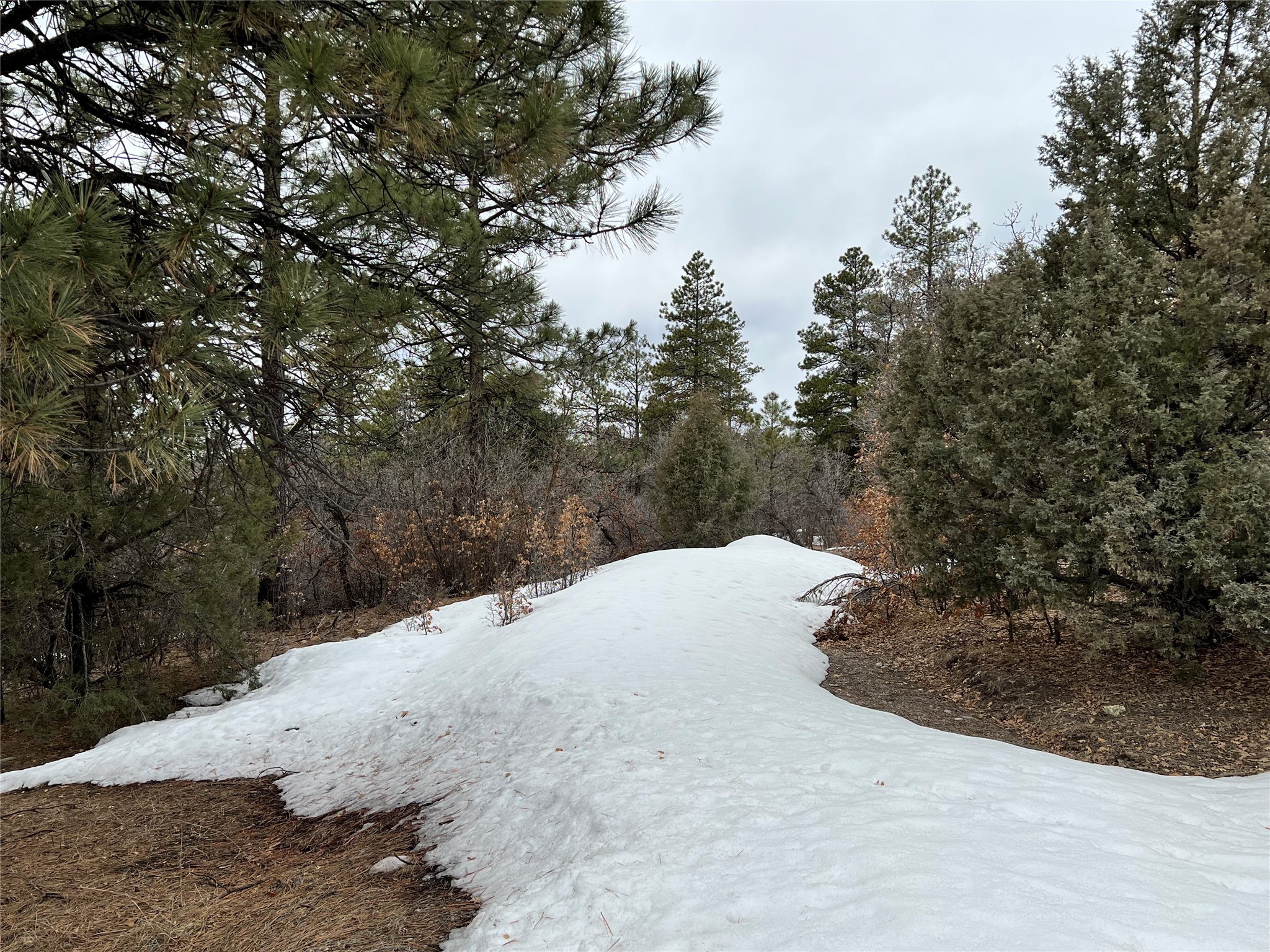 0 Saddle Ridge 1