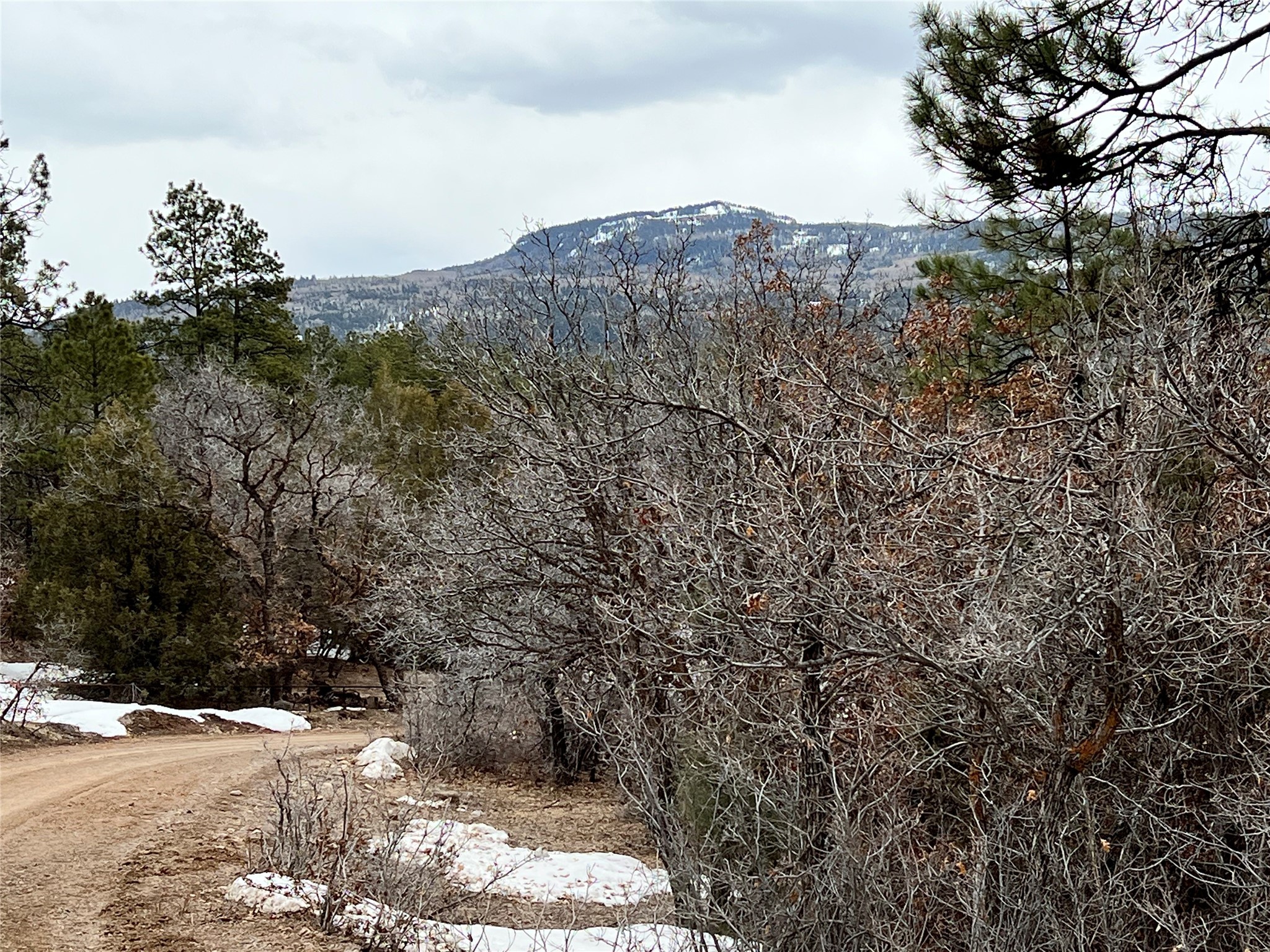 0 Saddle Ridge 1