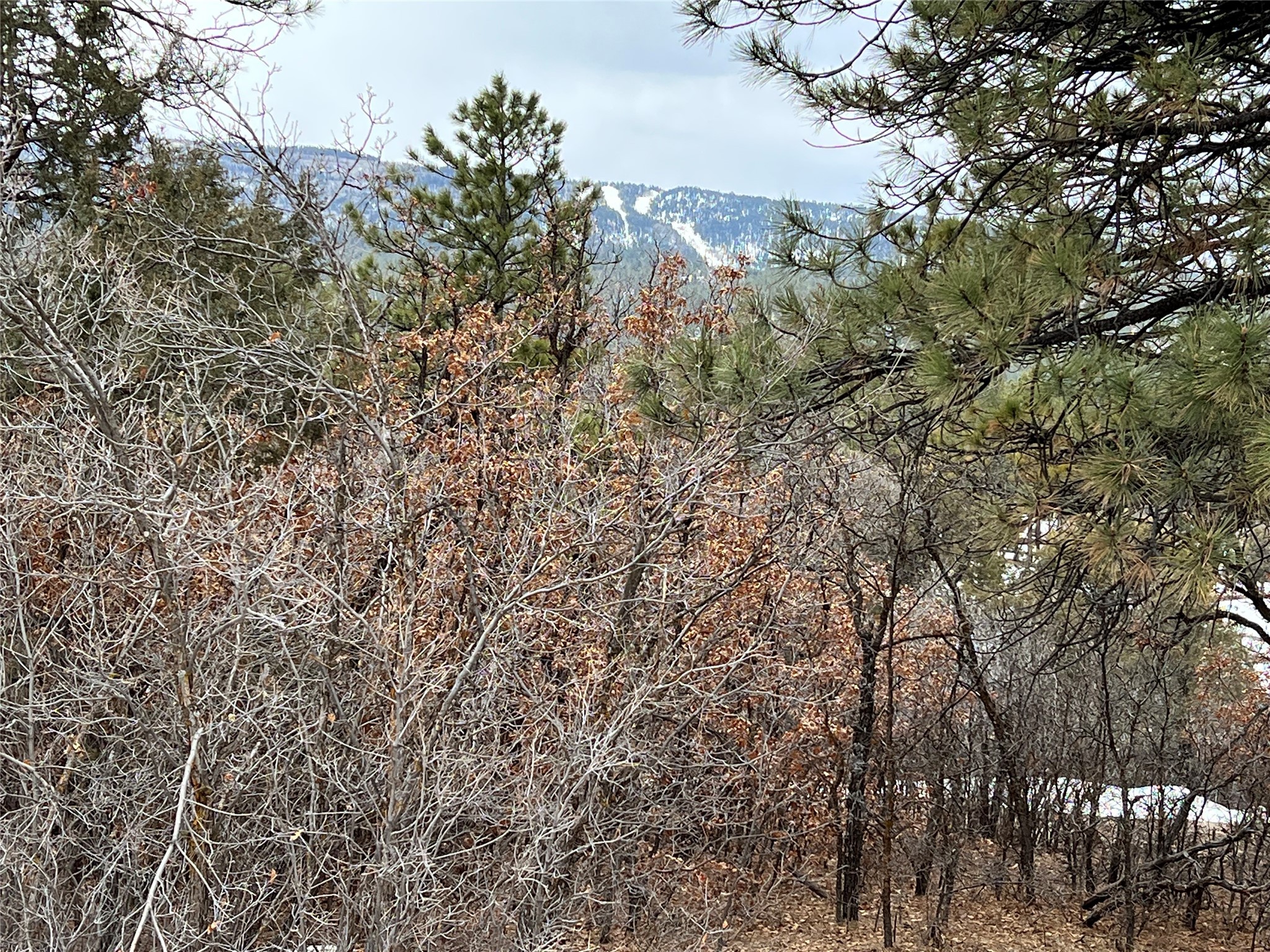 0 Saddle Ridge 1