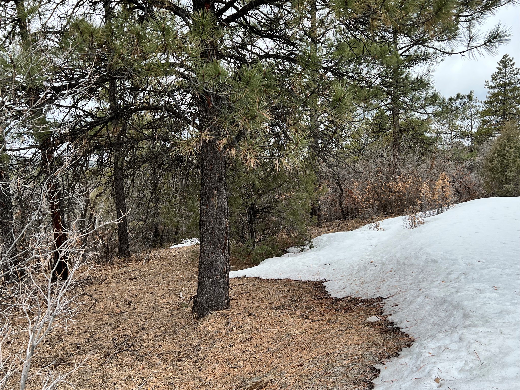 0 Saddle Ridge 1