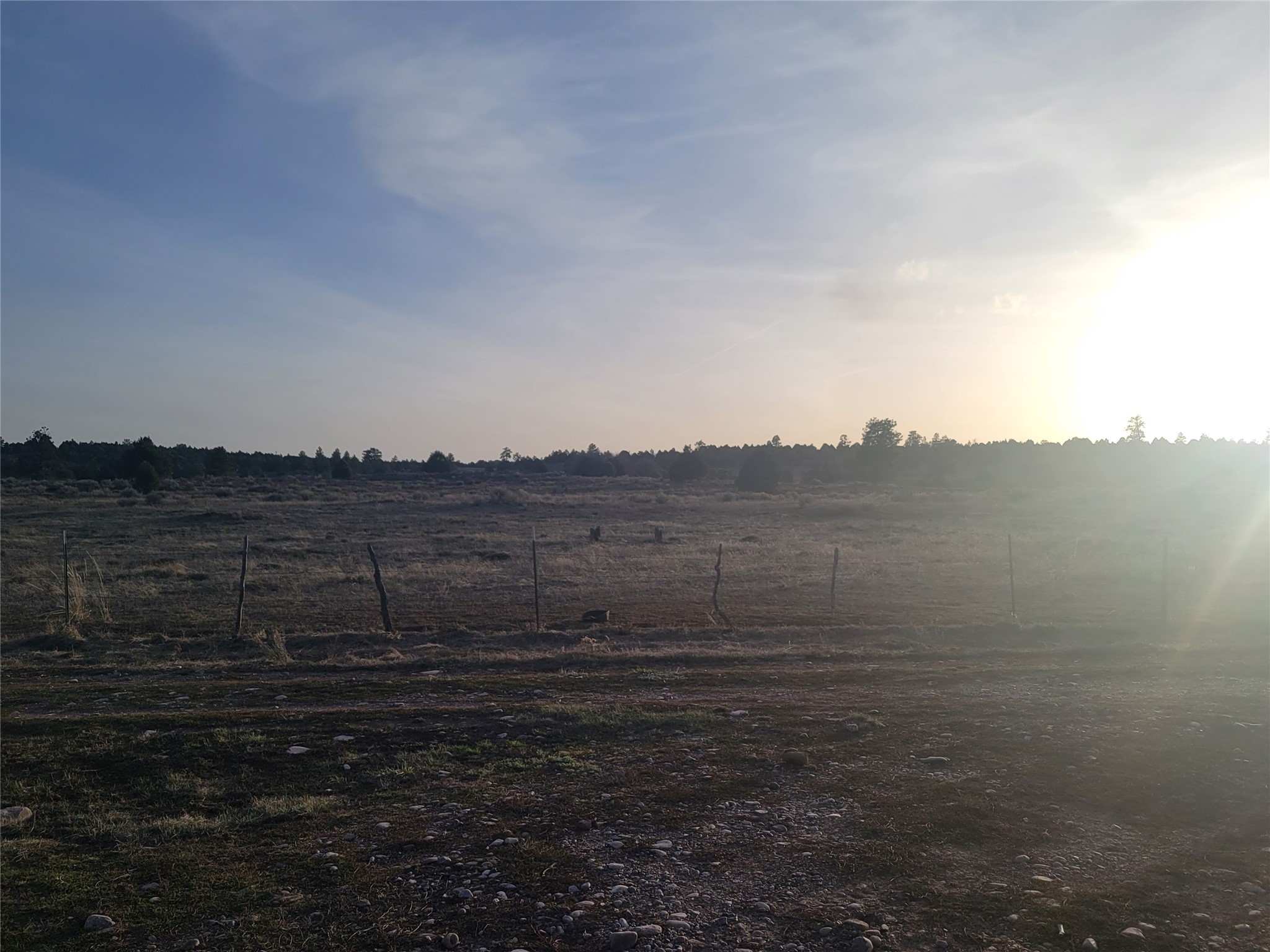 TBD Willow Way
