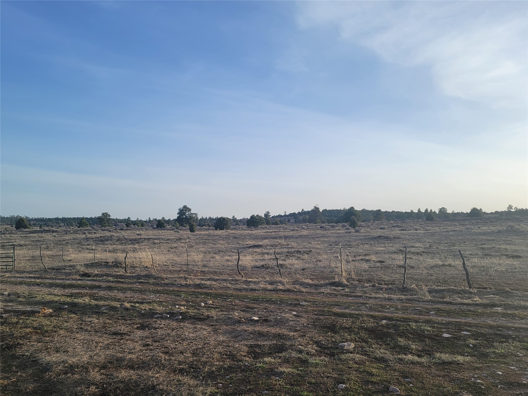 TBD Willow Way