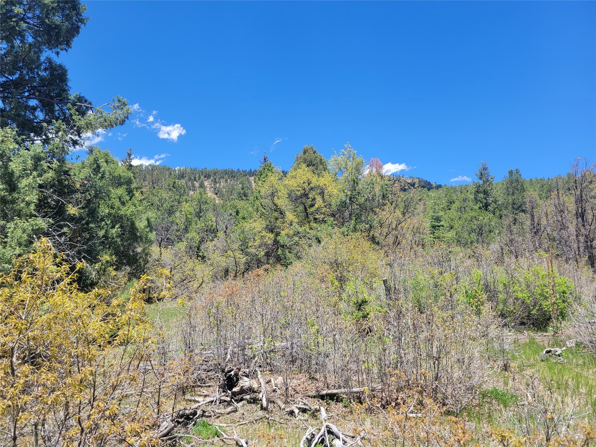 Lot 1 Block 3