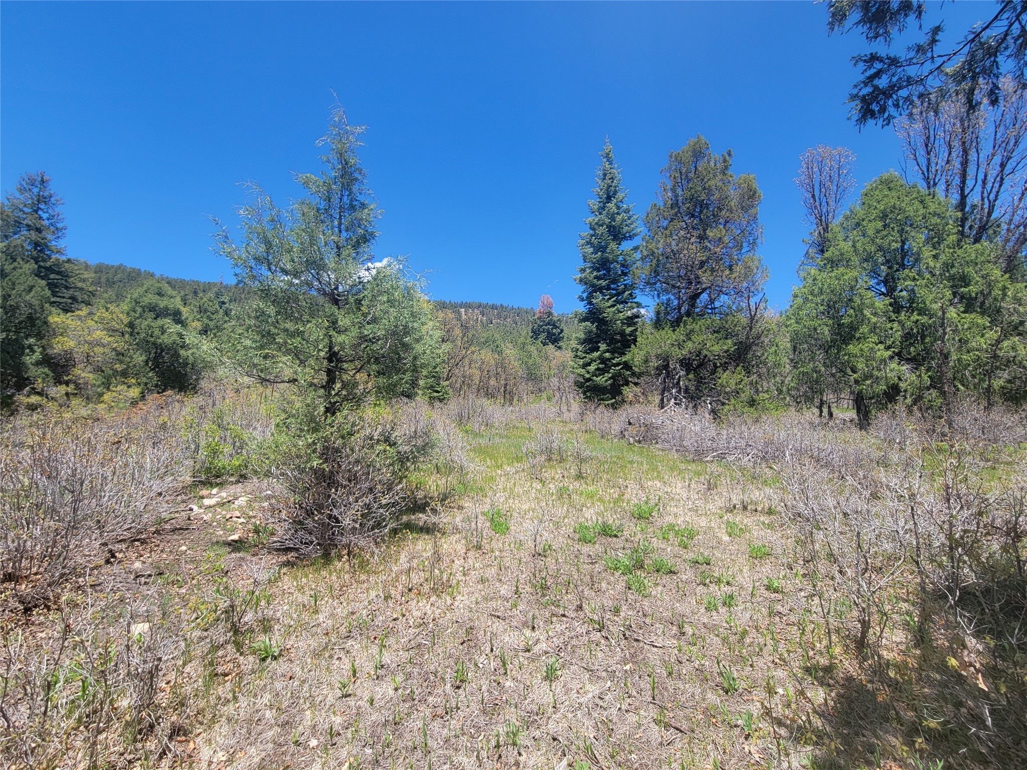 Lot 1 Block 3