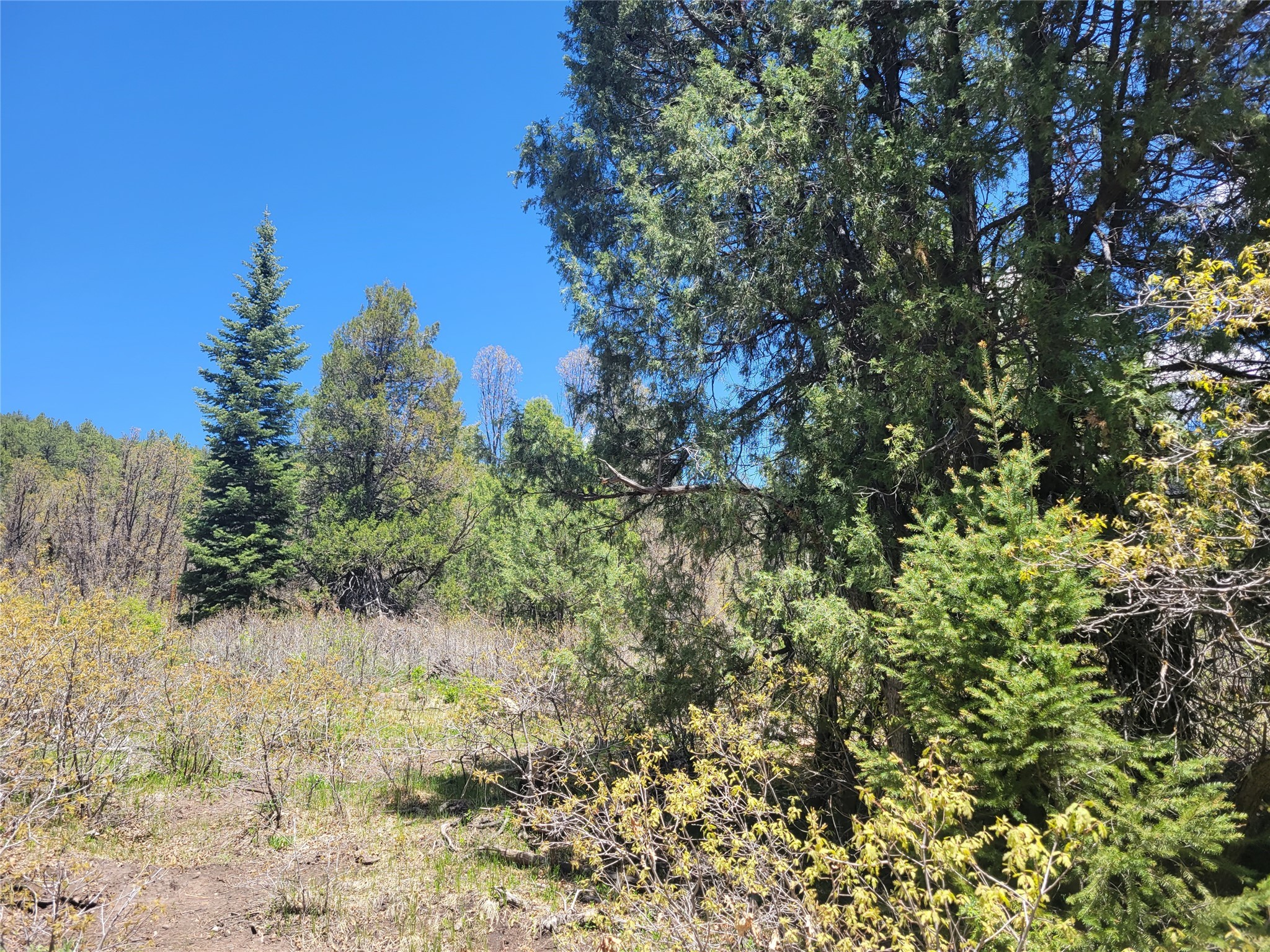 Lot 1 Block 3