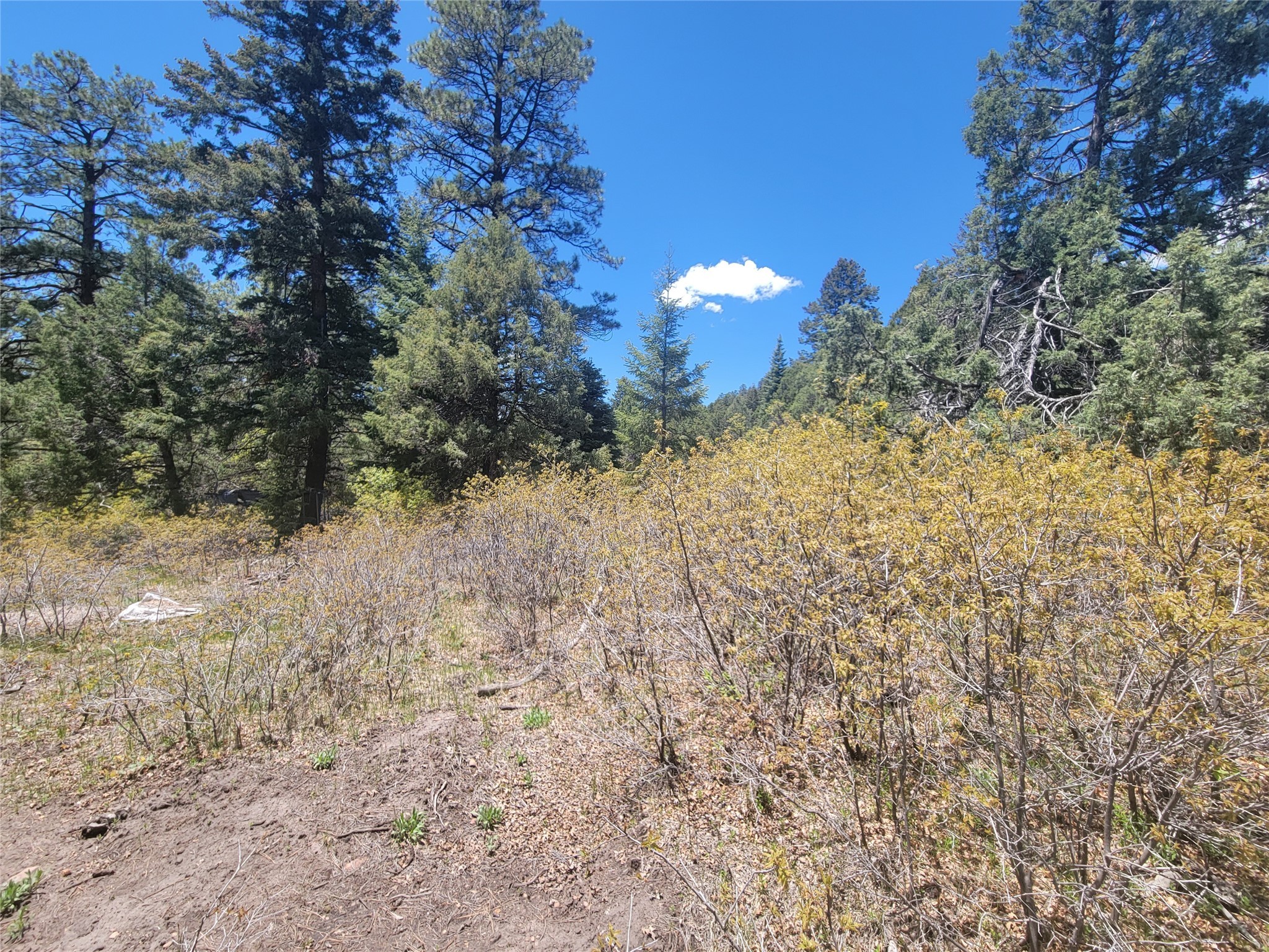 Lot 1 Block 3