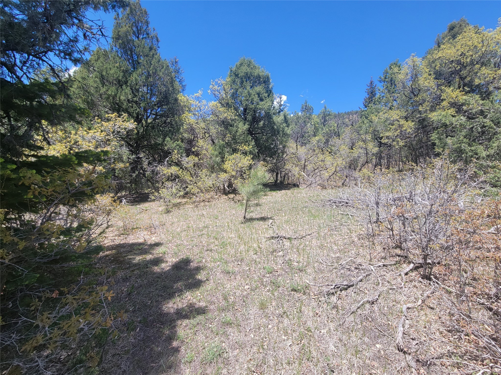 Lot 1 Block 3