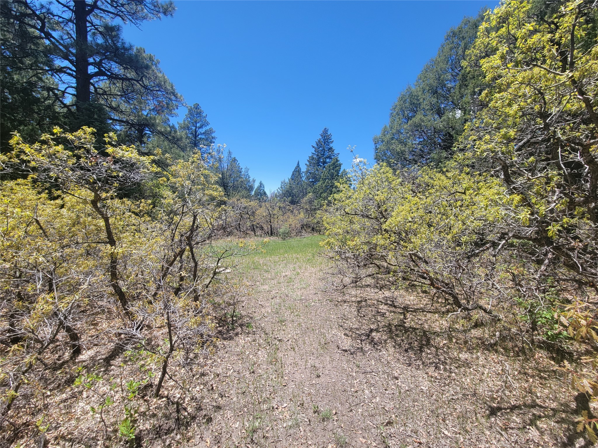 Lot 1 Block 3