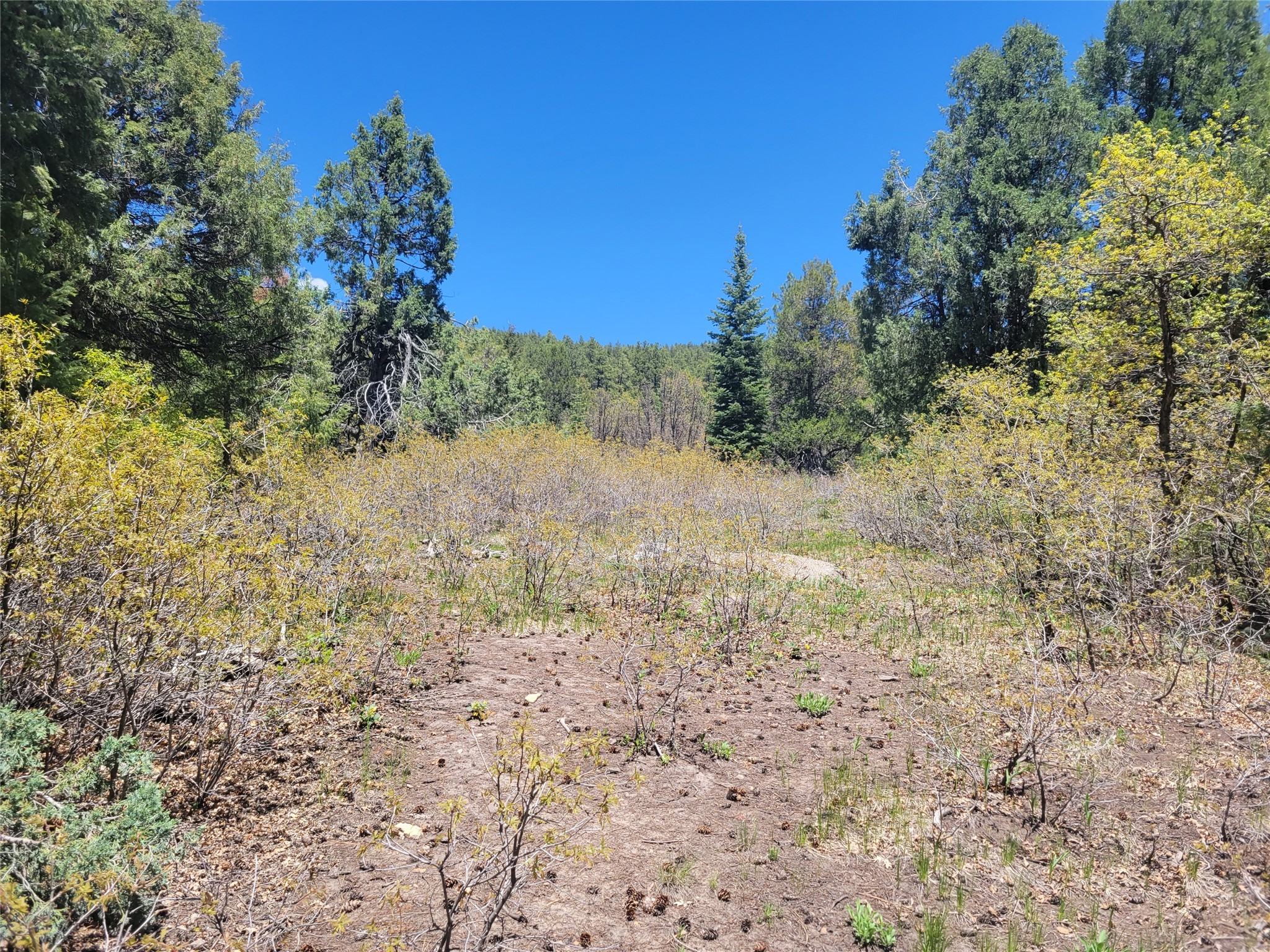 Lot 1 Block 3