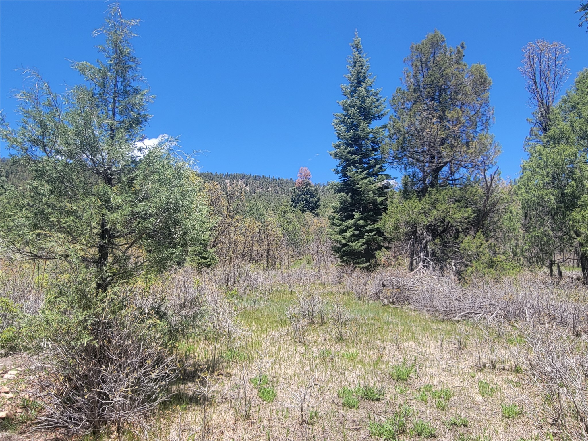 Lot 1 Block 3