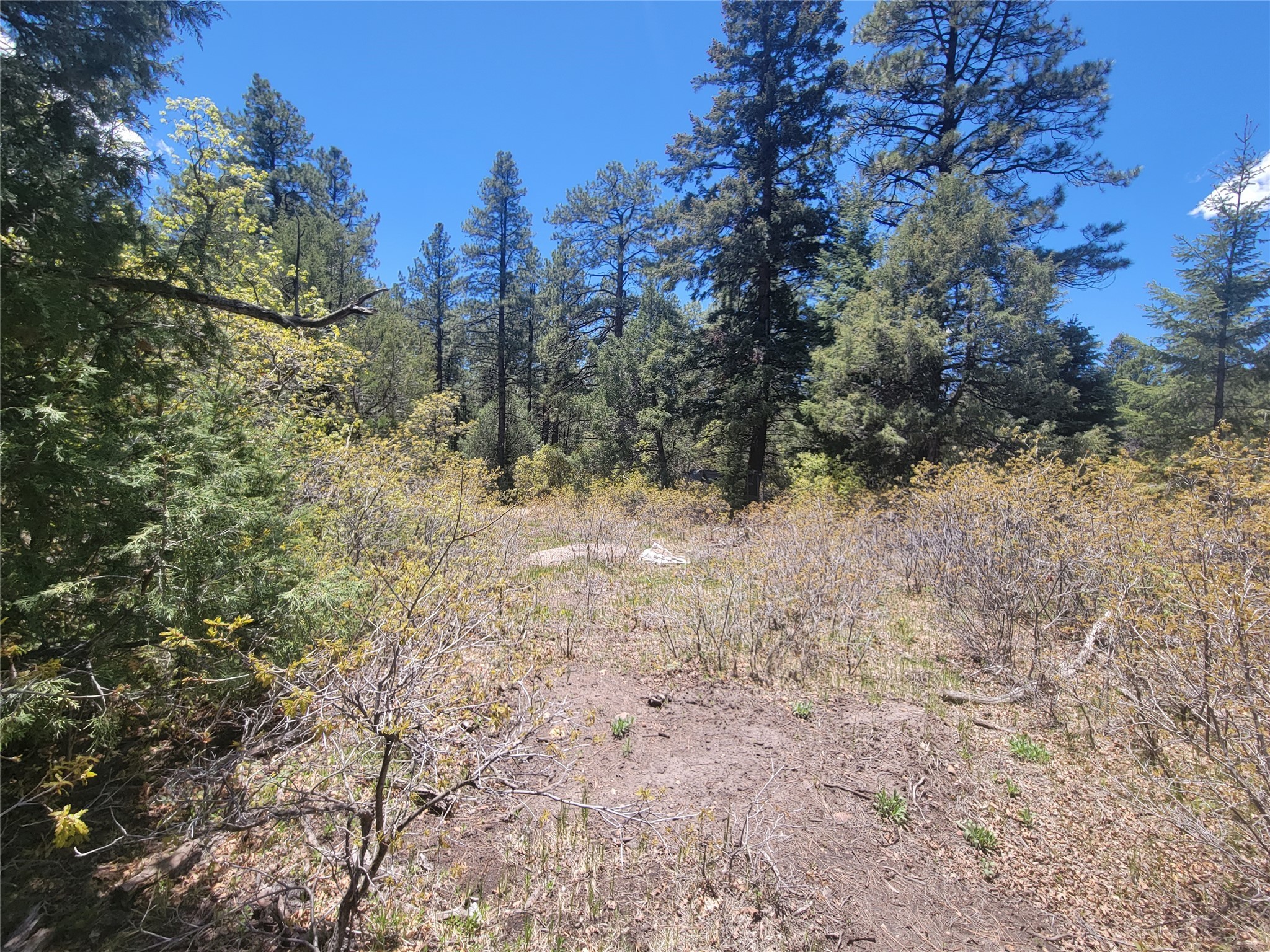 Lot 1 Block 3