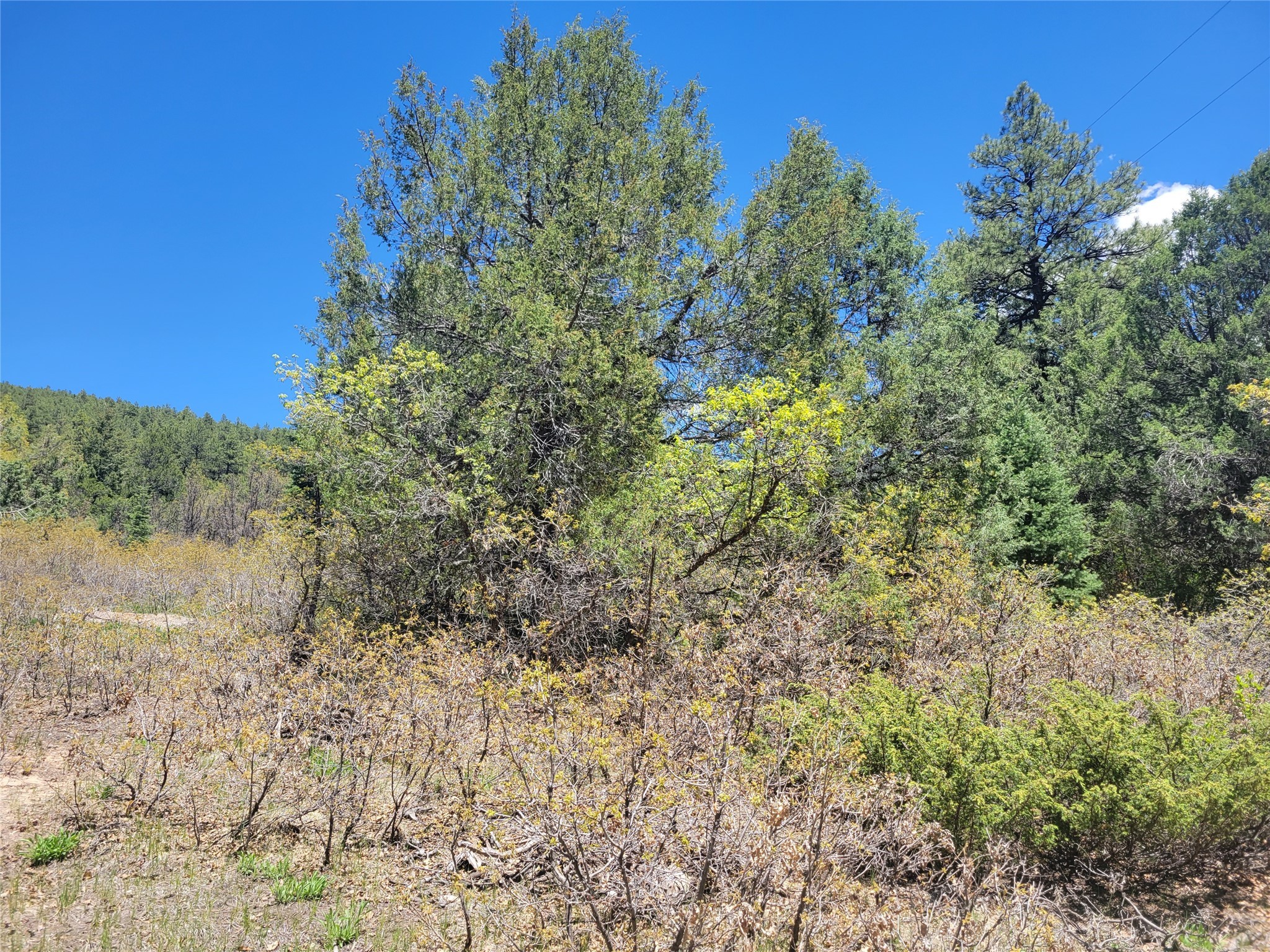 Lot 1 Block 3