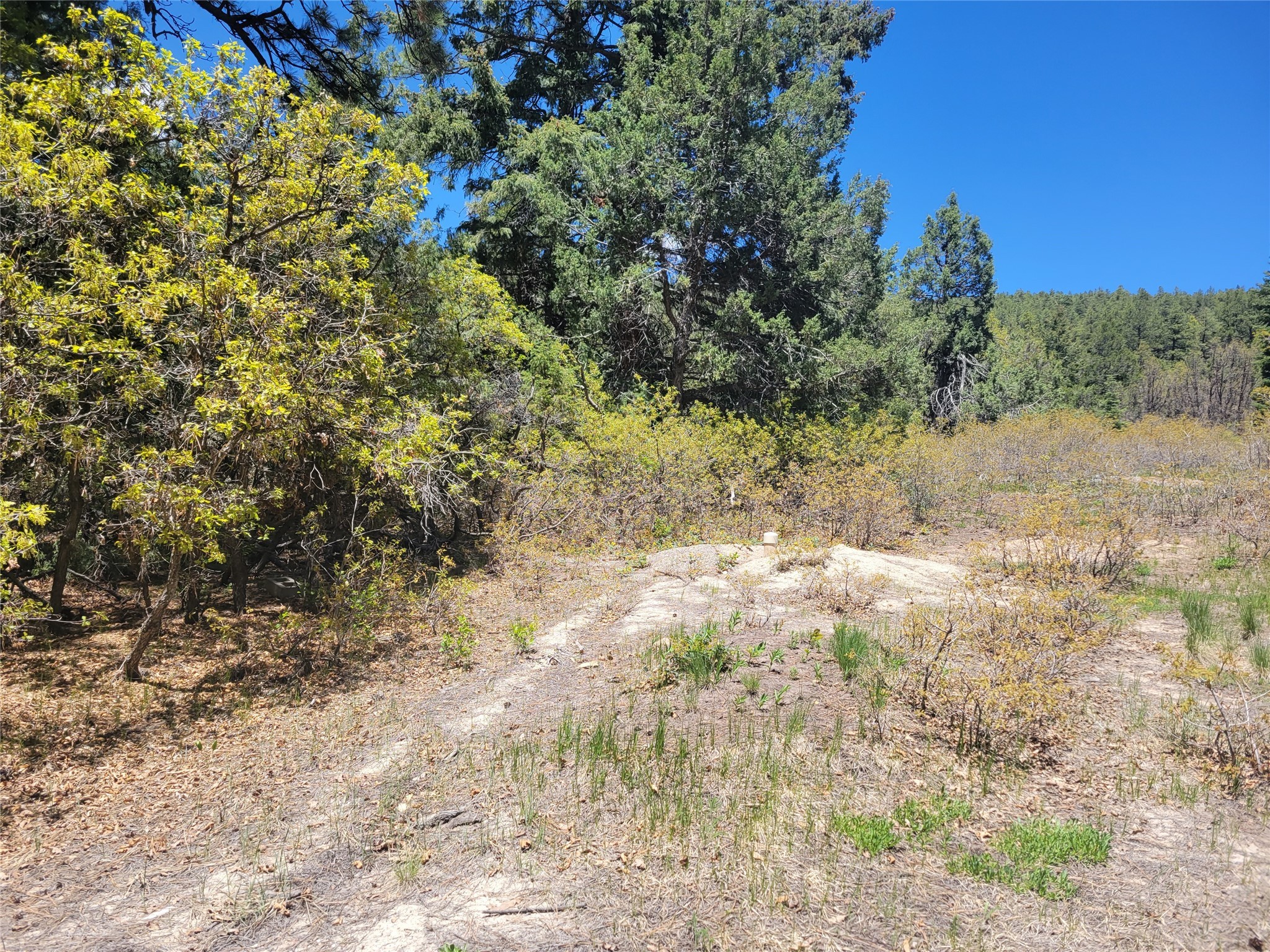 Lot 1 Block 3
