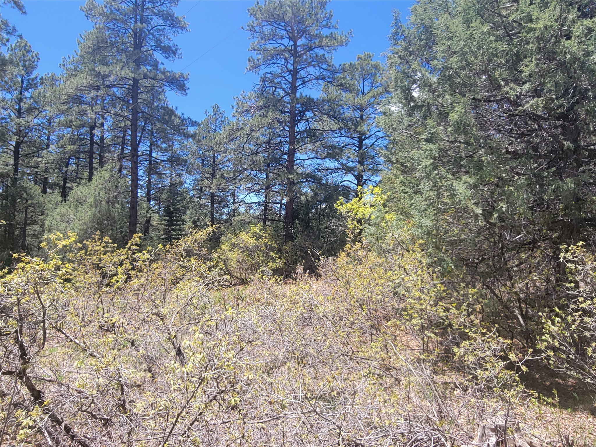 Lot 1 Block 3