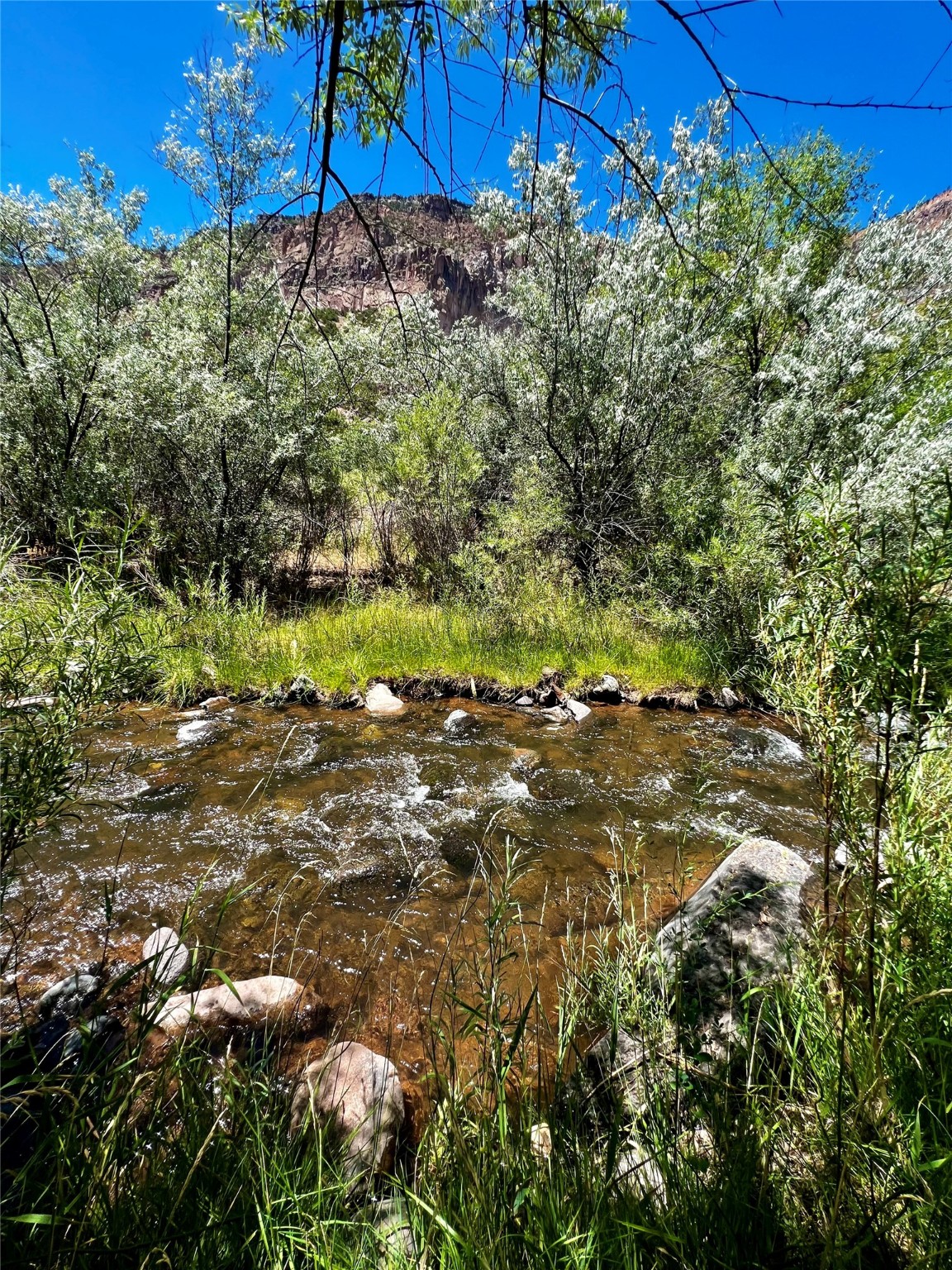 15845 HIGHWAY 4