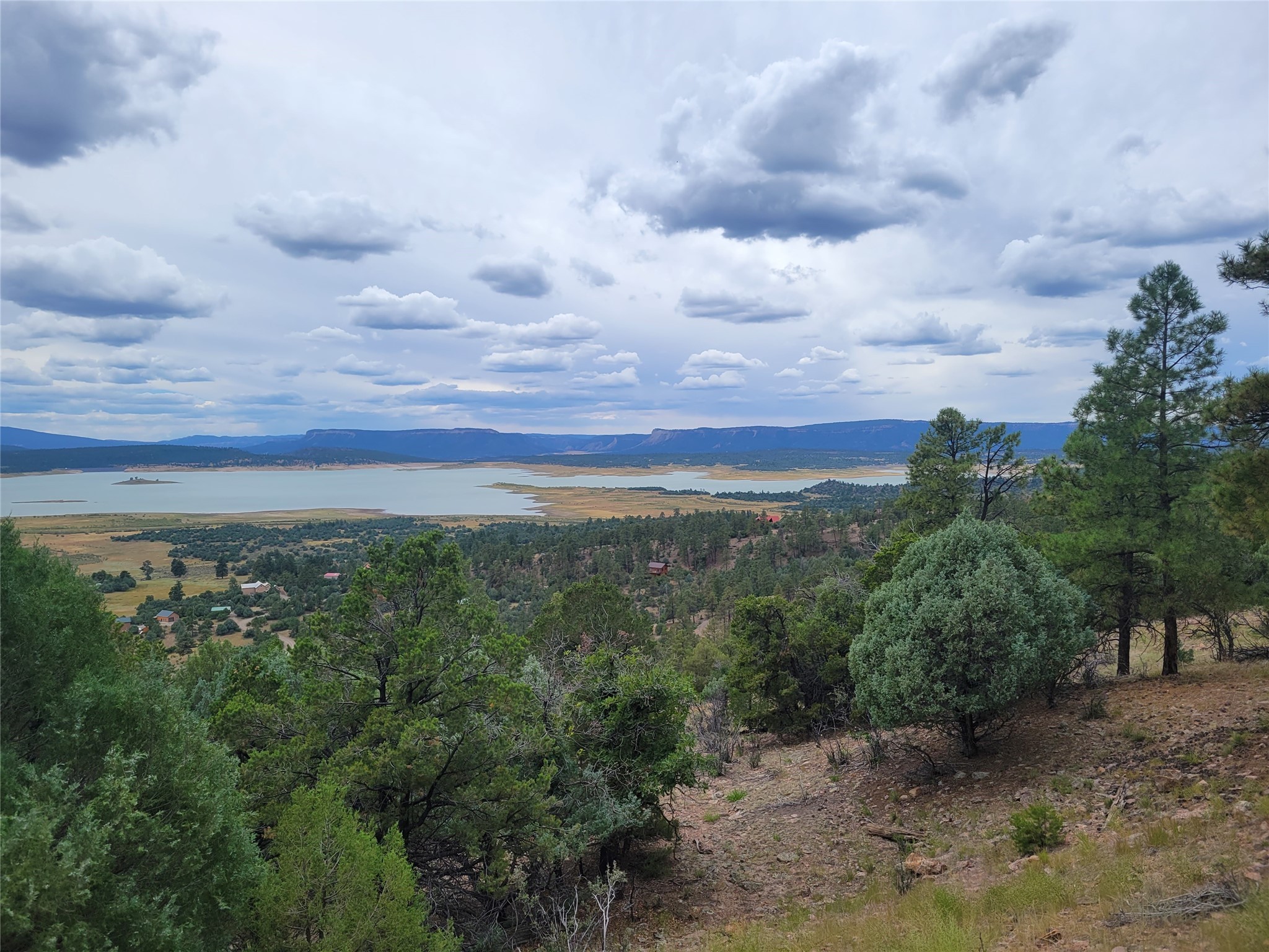 56 Elk Lane