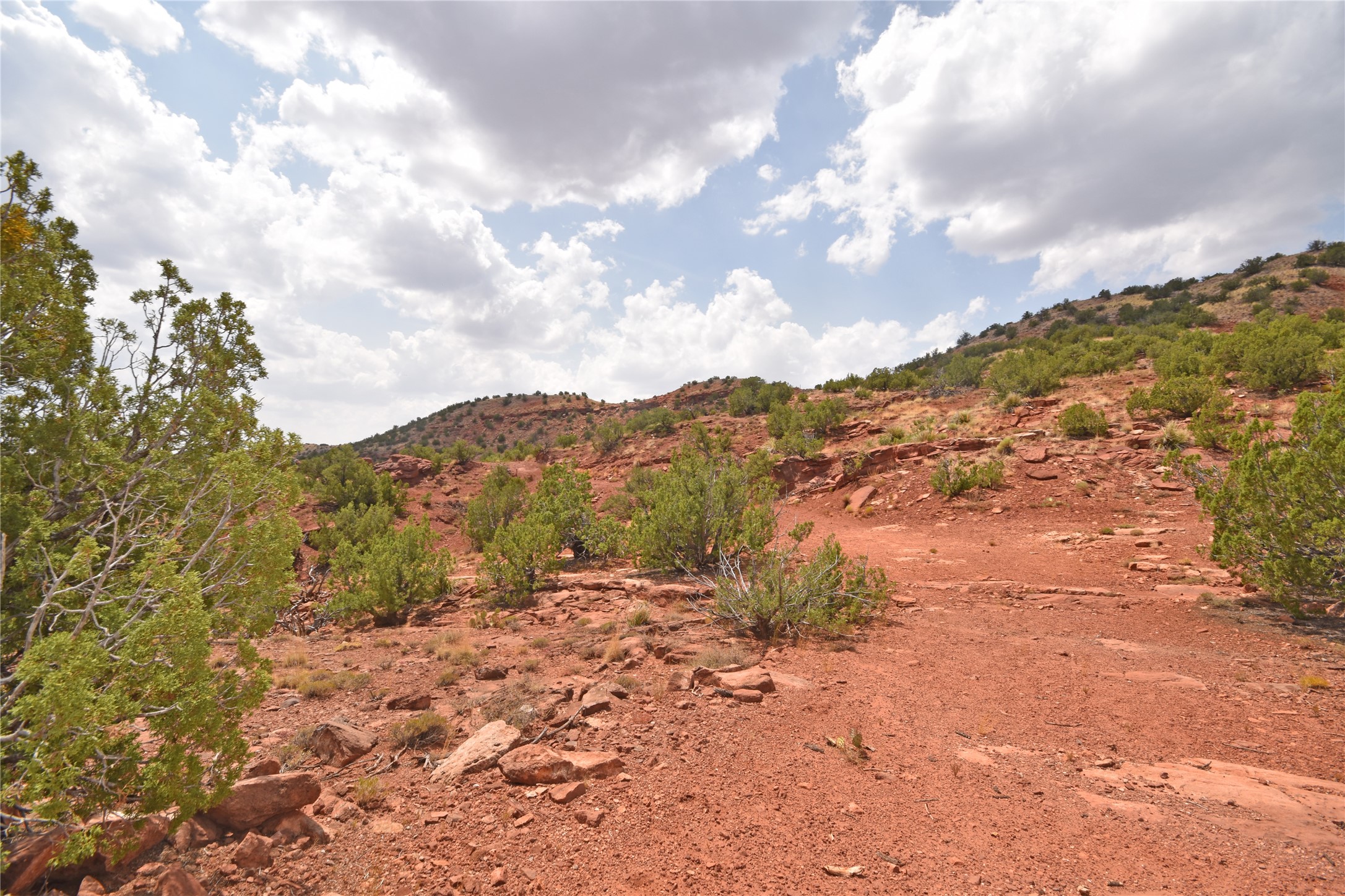 Lot 21 Highway 485