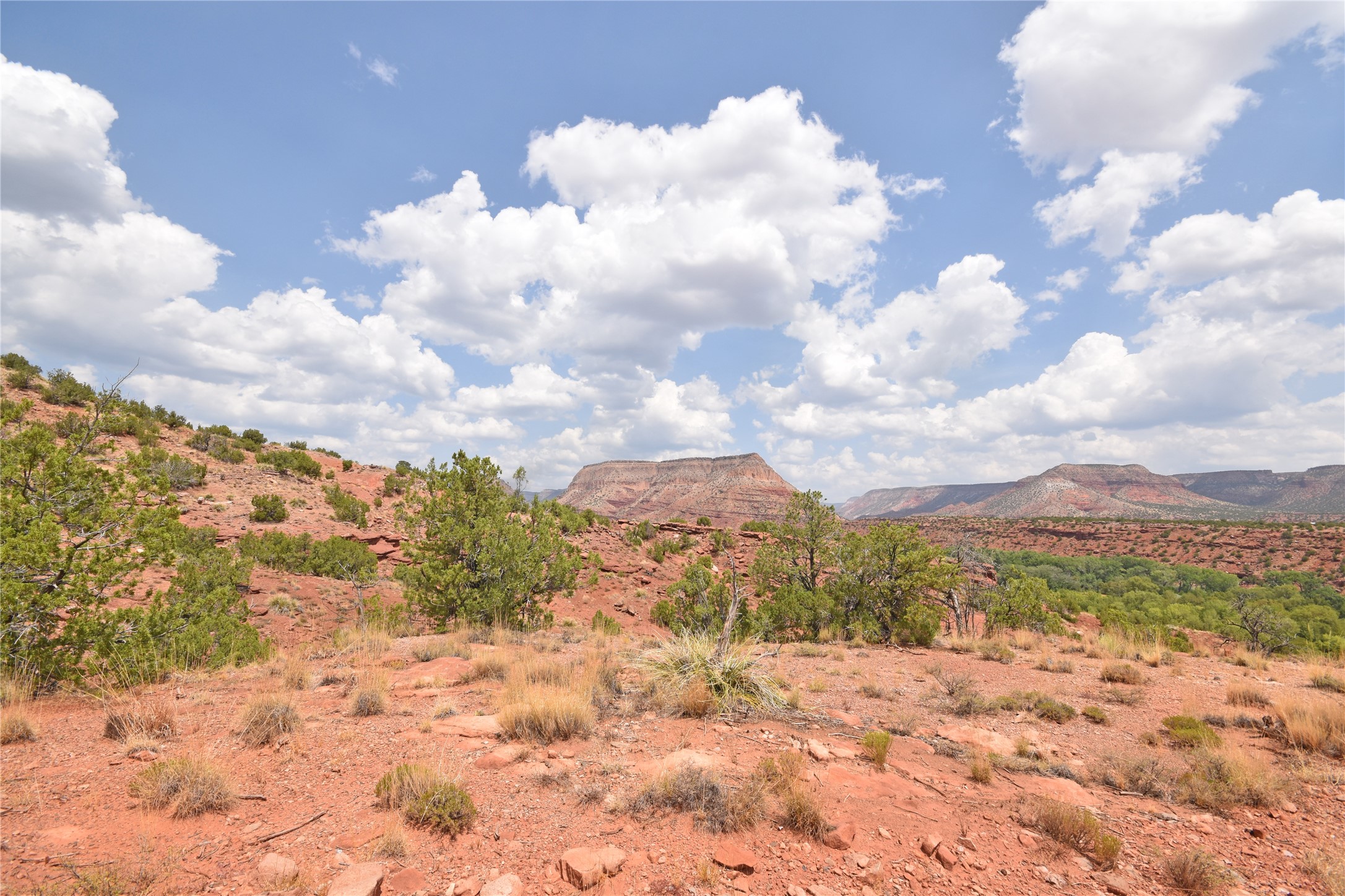 Lot 21 Highway 485