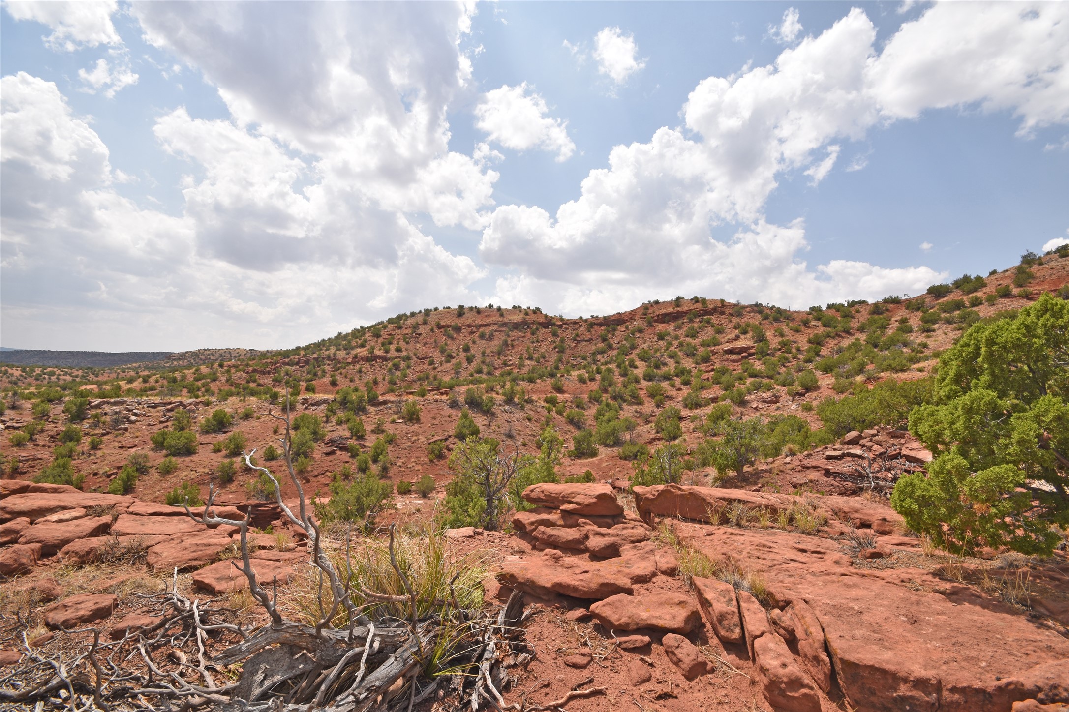 Lot 21 Highway 485